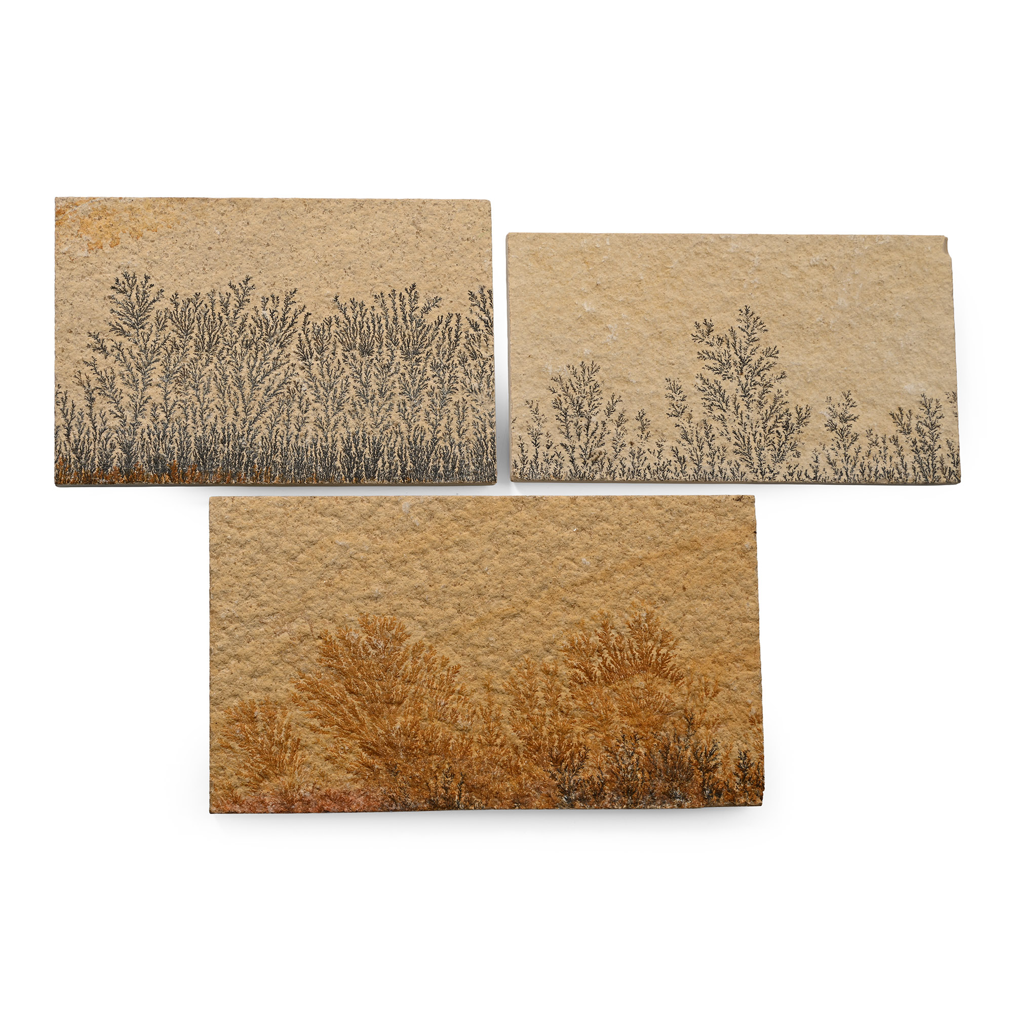 Manganese Dendrite Landscape Plaque Group