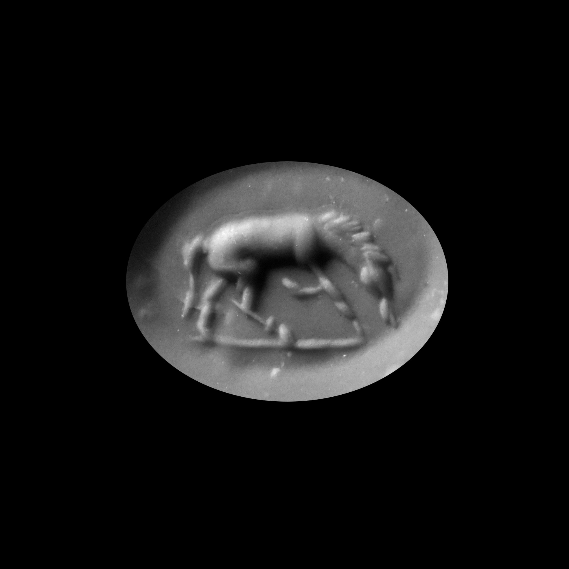 Roman Nicolo Gemstone of a Grazing Horse in Gold Ring