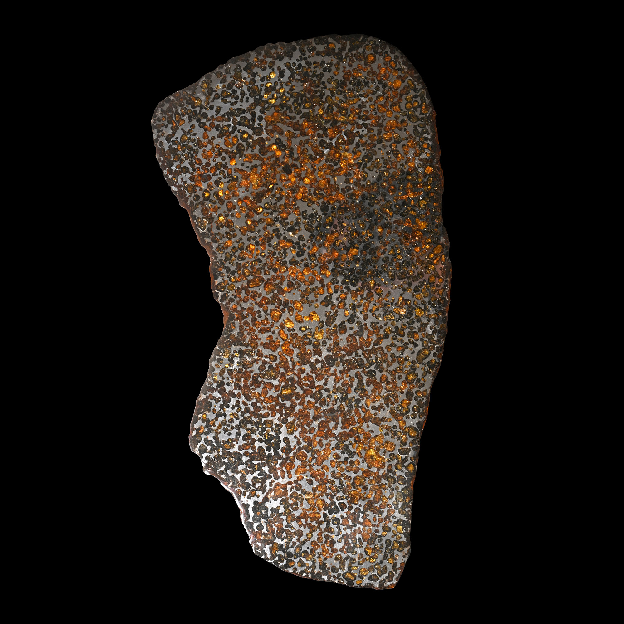 Sericho Meteorite Cross-Section