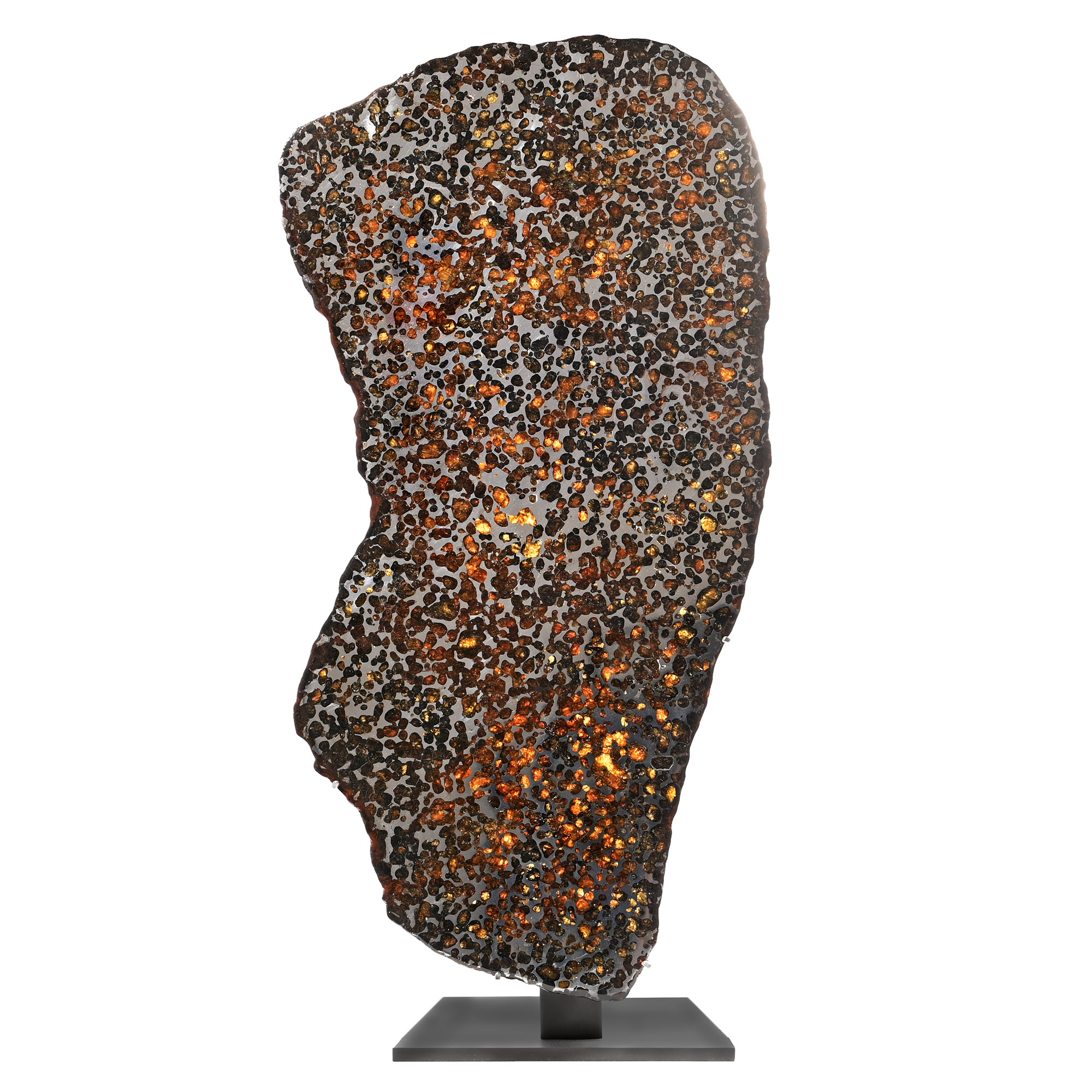 Sericho Meteorite Cross-Section