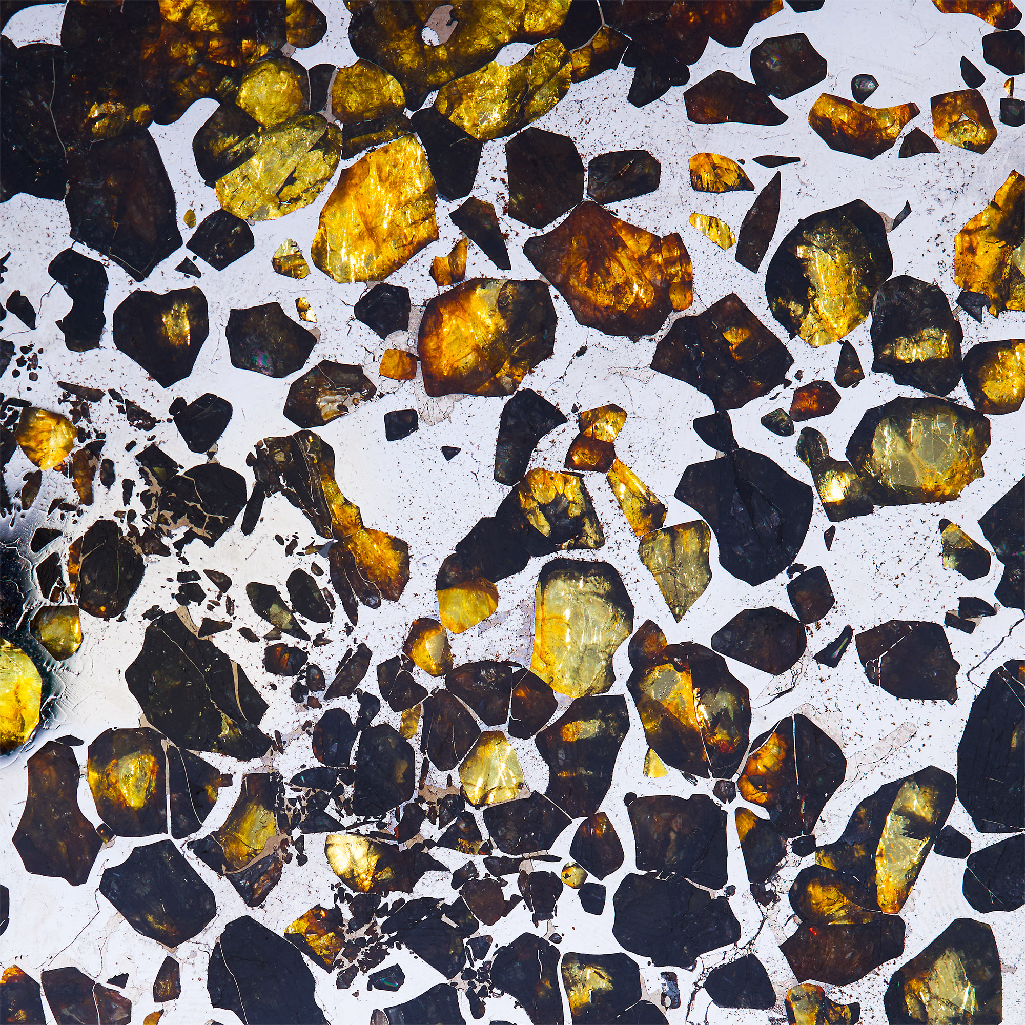 Seymchan Meteorite Cross-Section