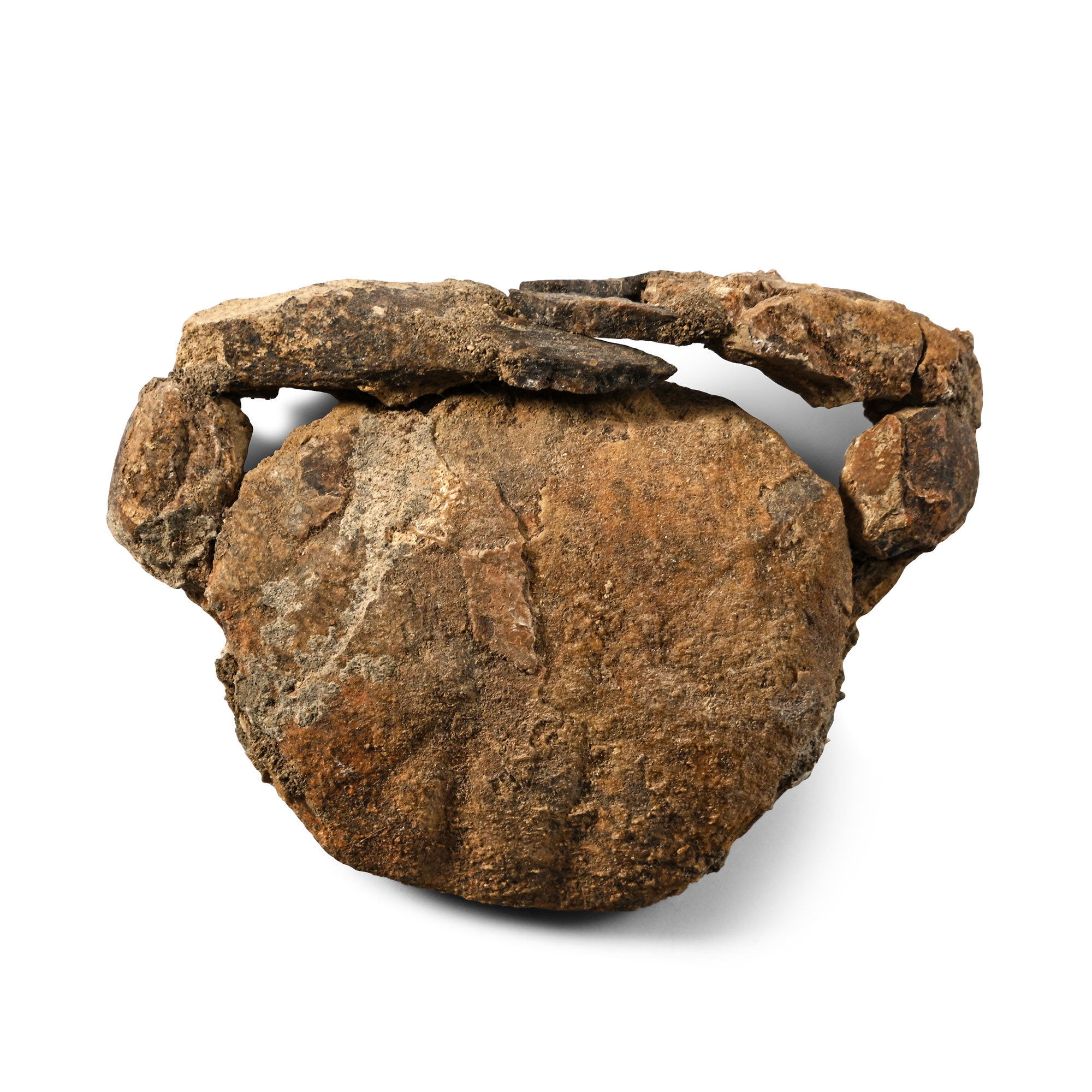 Fossil Crab with Both Claws
