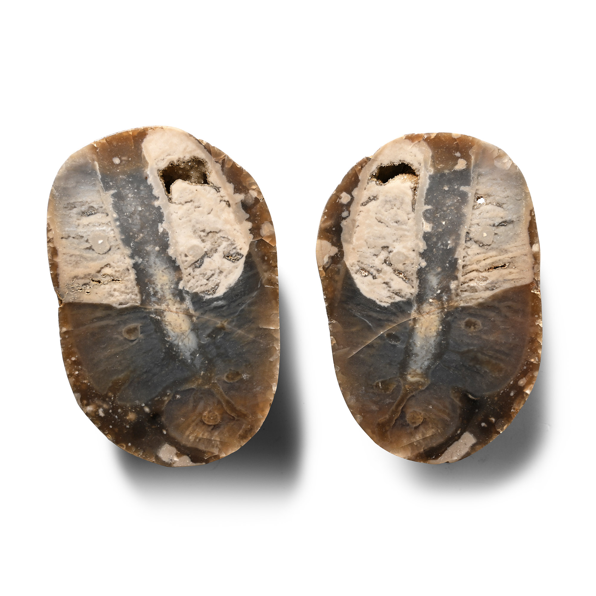 Cut and Polished Fossil Sponge in Flint Nodule