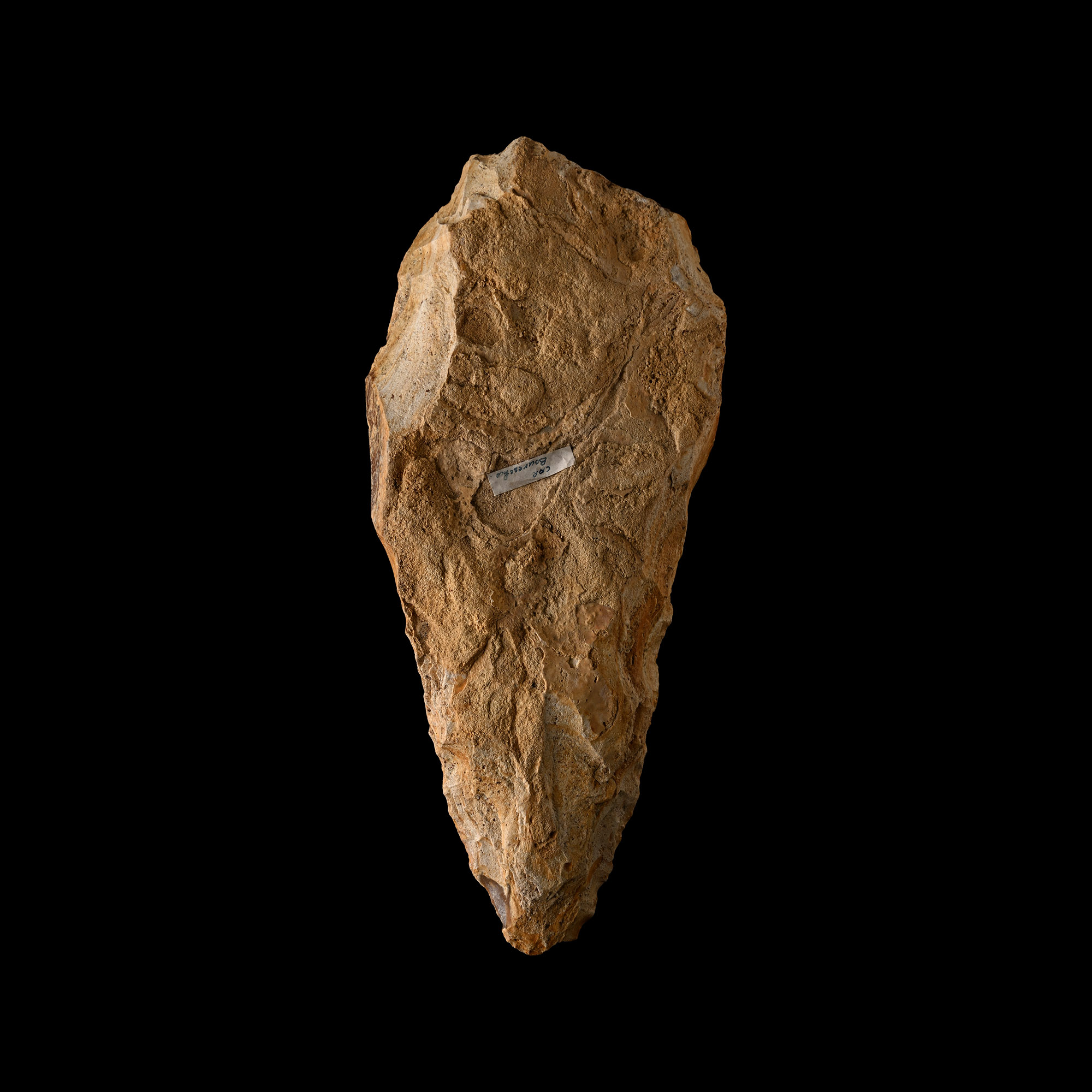 Giant French Stone Age 12 Inch Acheulean Knapped Handaxe