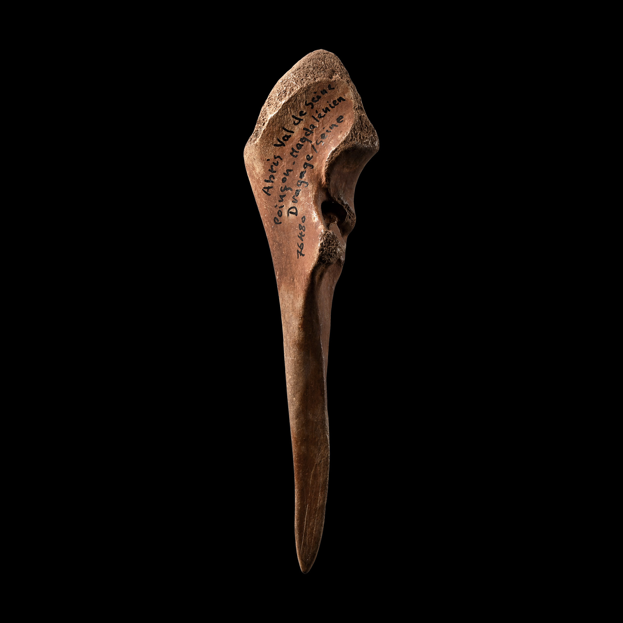 Large French Stone Age Magdalenian Bone Awl