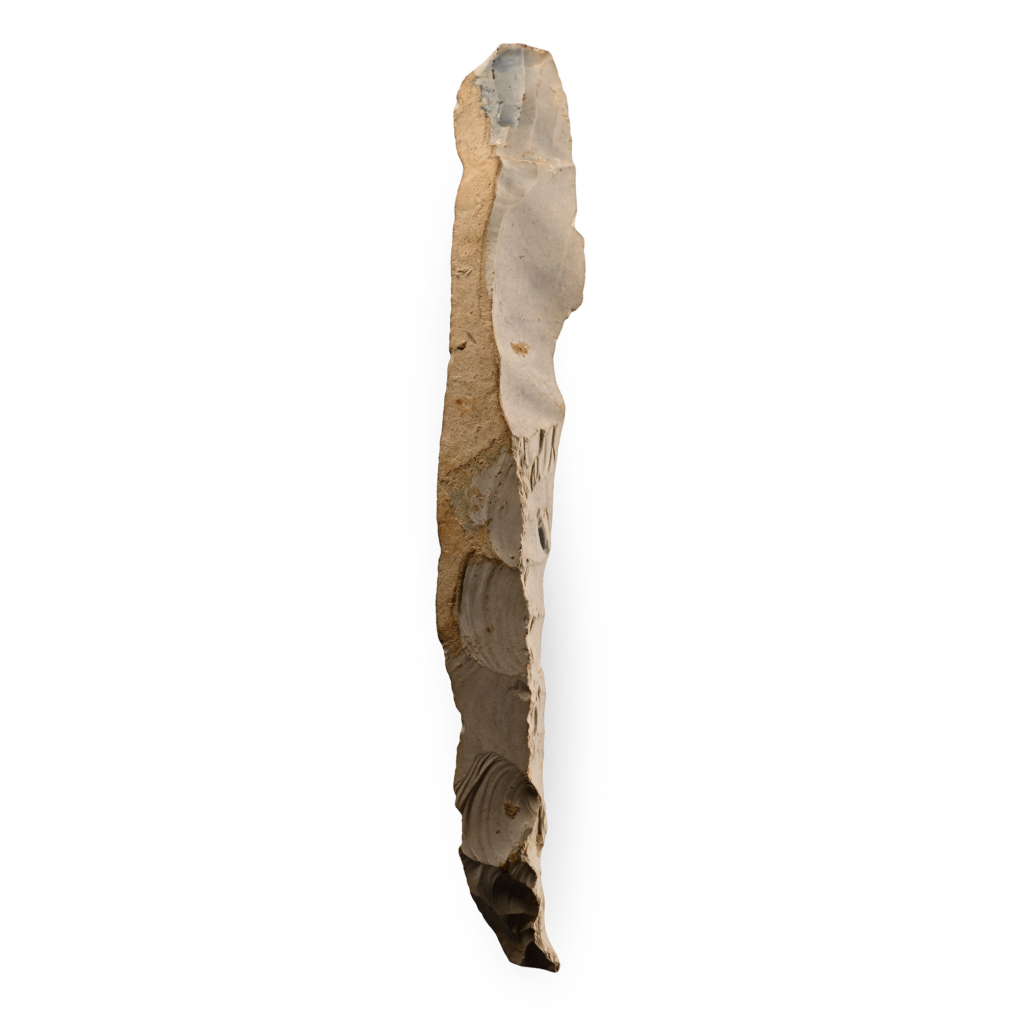 Very Large Spiennies Stone Age Long Knapped Flint Blade