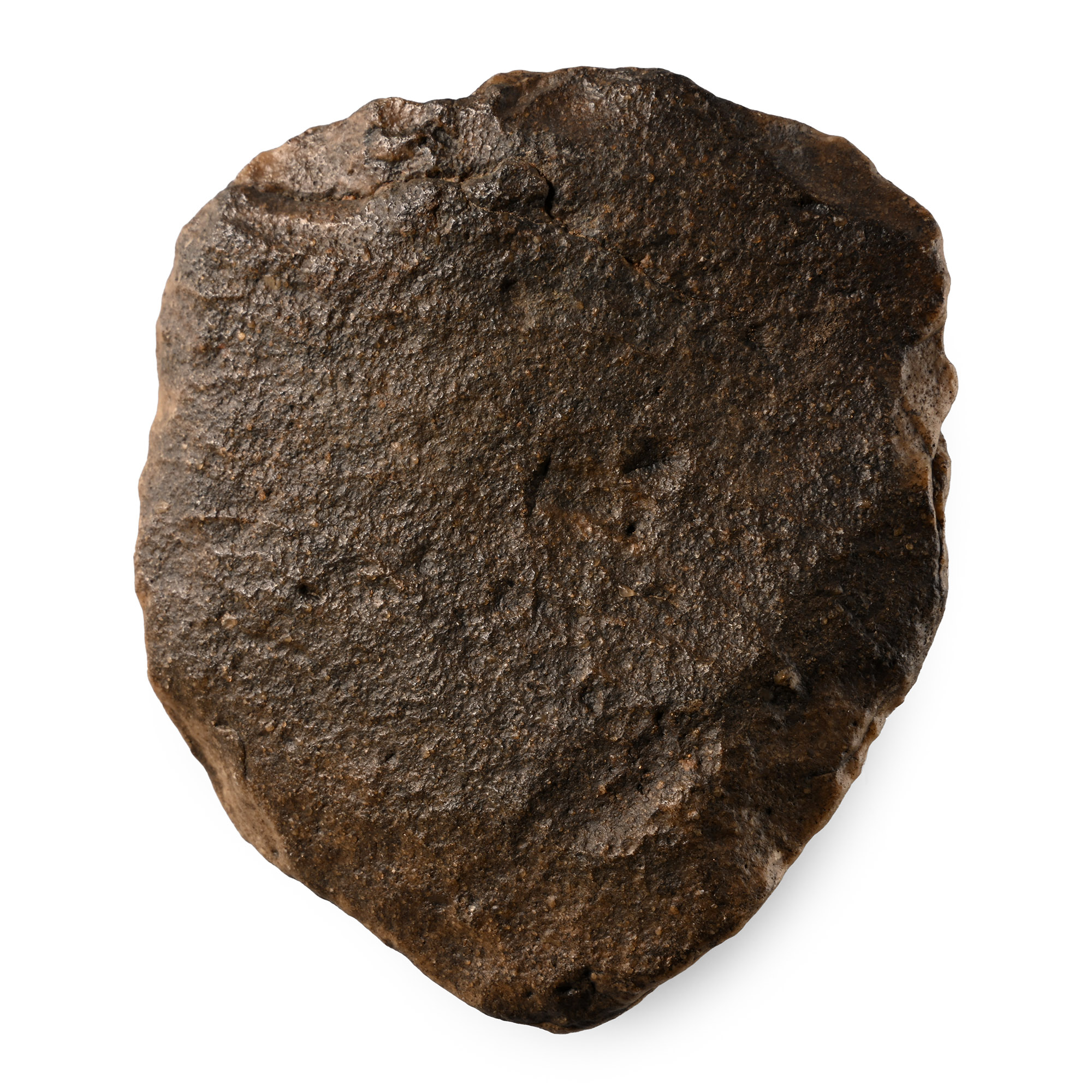 African Stone Age Homo Erectus Knapped Acheulean Handaxe