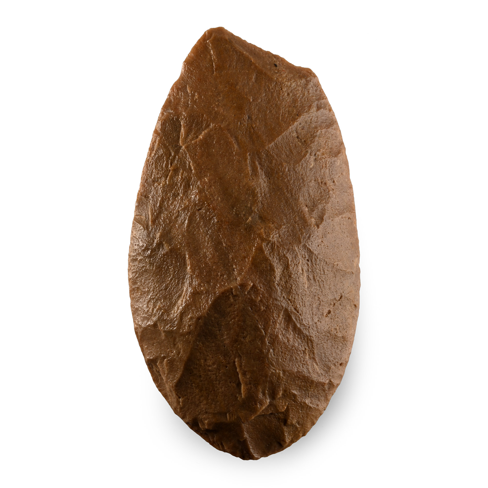 African Stone Age Homo Erectus Knapped Cordiform Handaxe