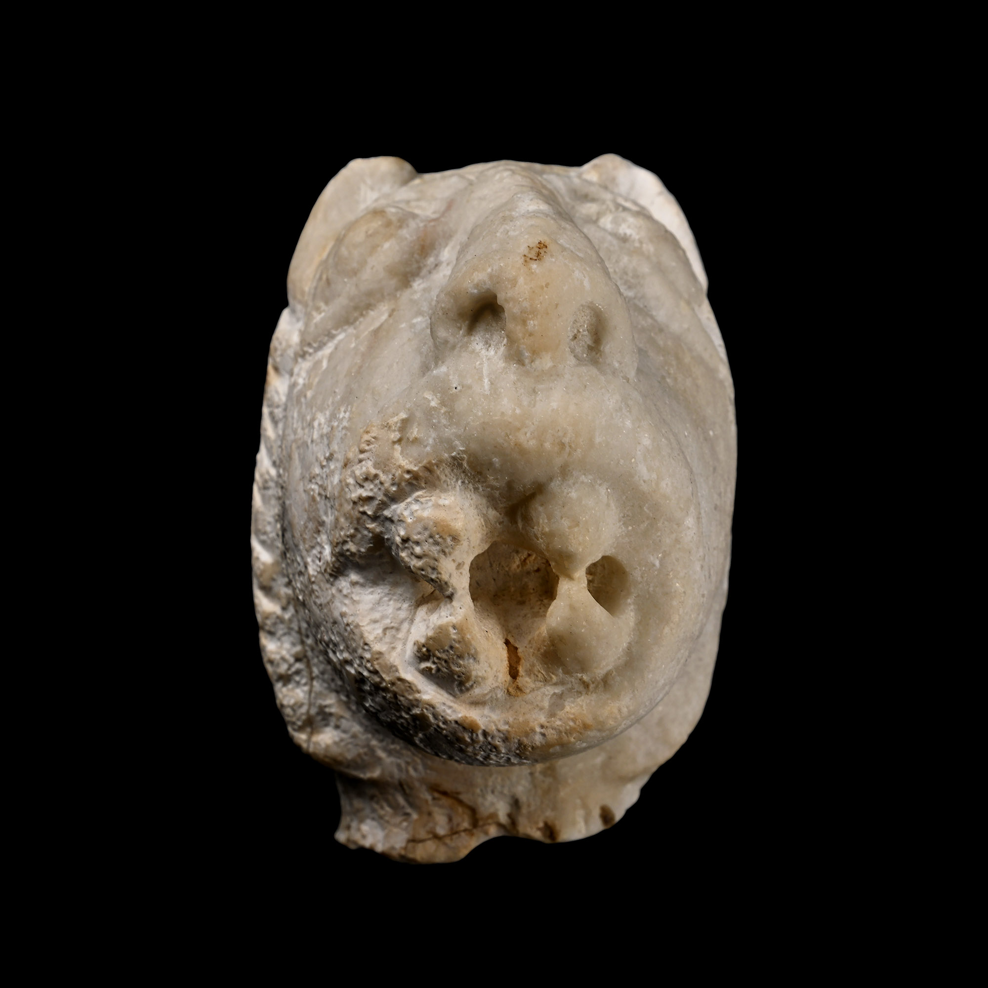 Medieval Marble Head of a Demonic Lion