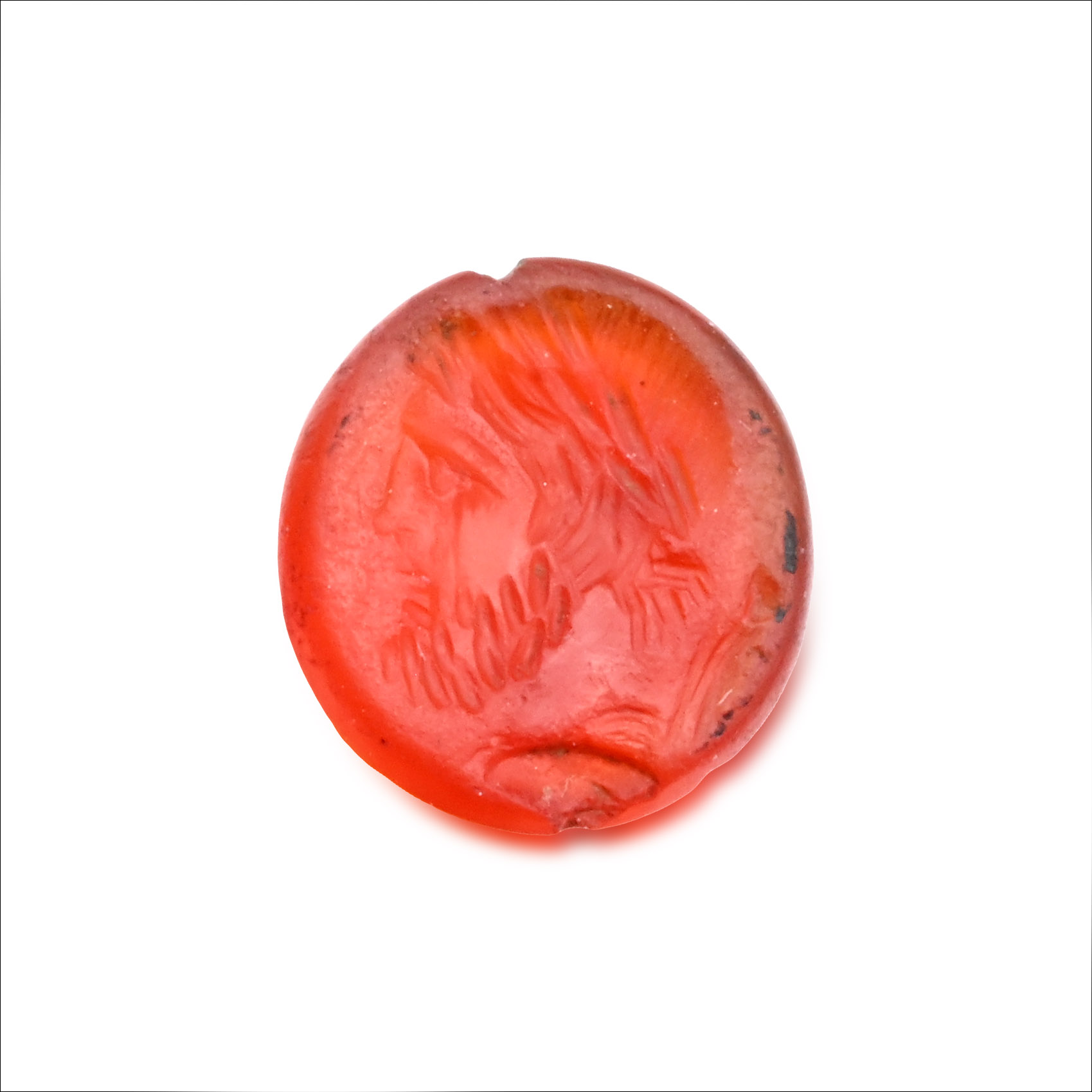 Roman Carnelian Gemstone Collection with Jupiter Effigies