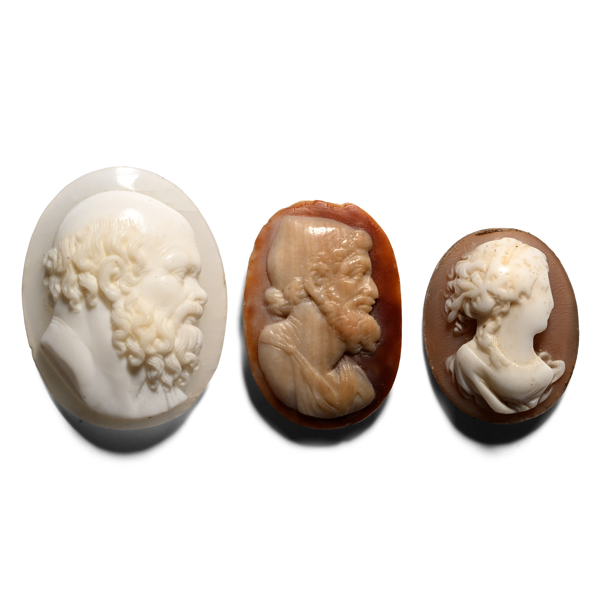 Renaissance Shell Cameo Collection