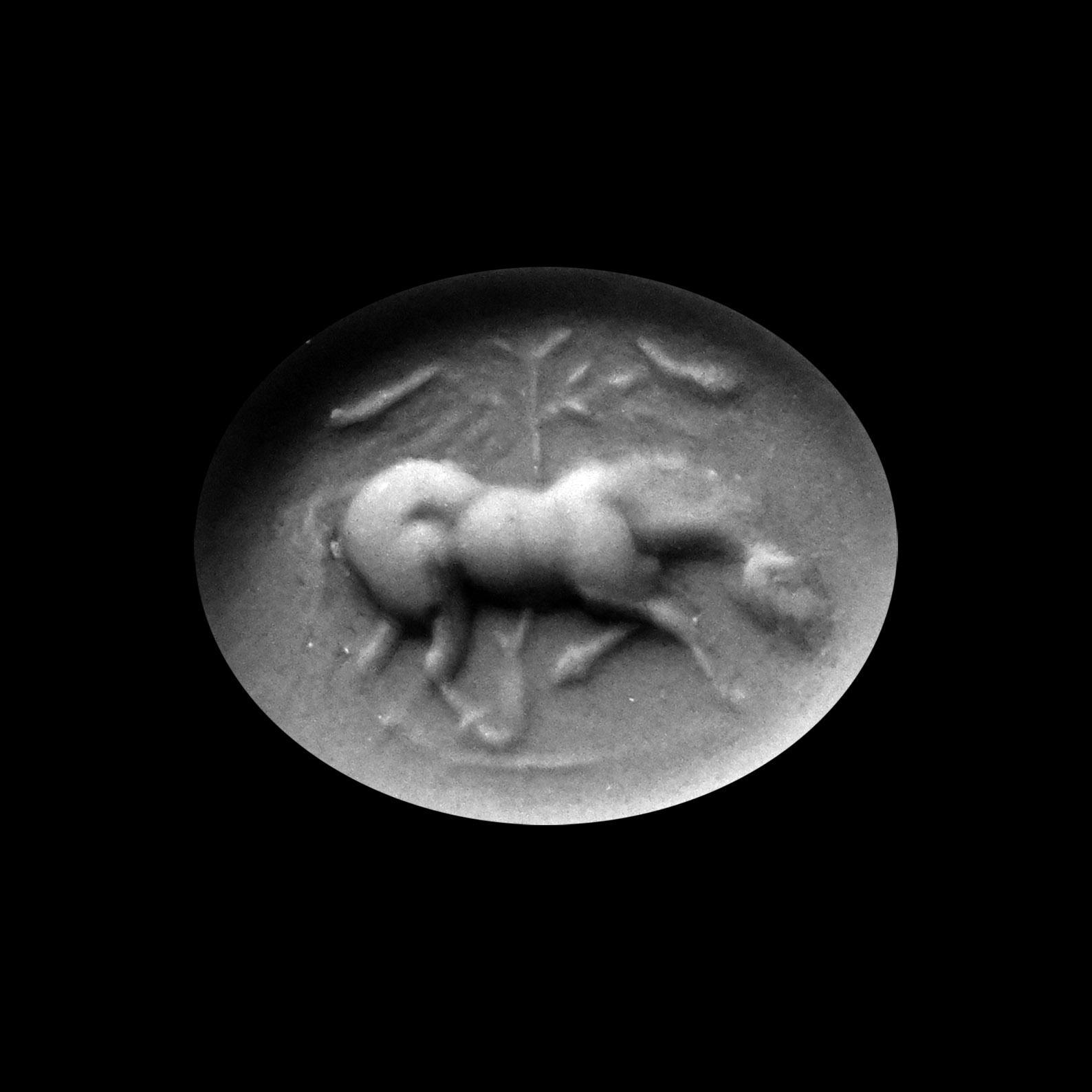 Roman Nicolo Intaglio Depicting a Horse Beneath a Tree in Gold Ring