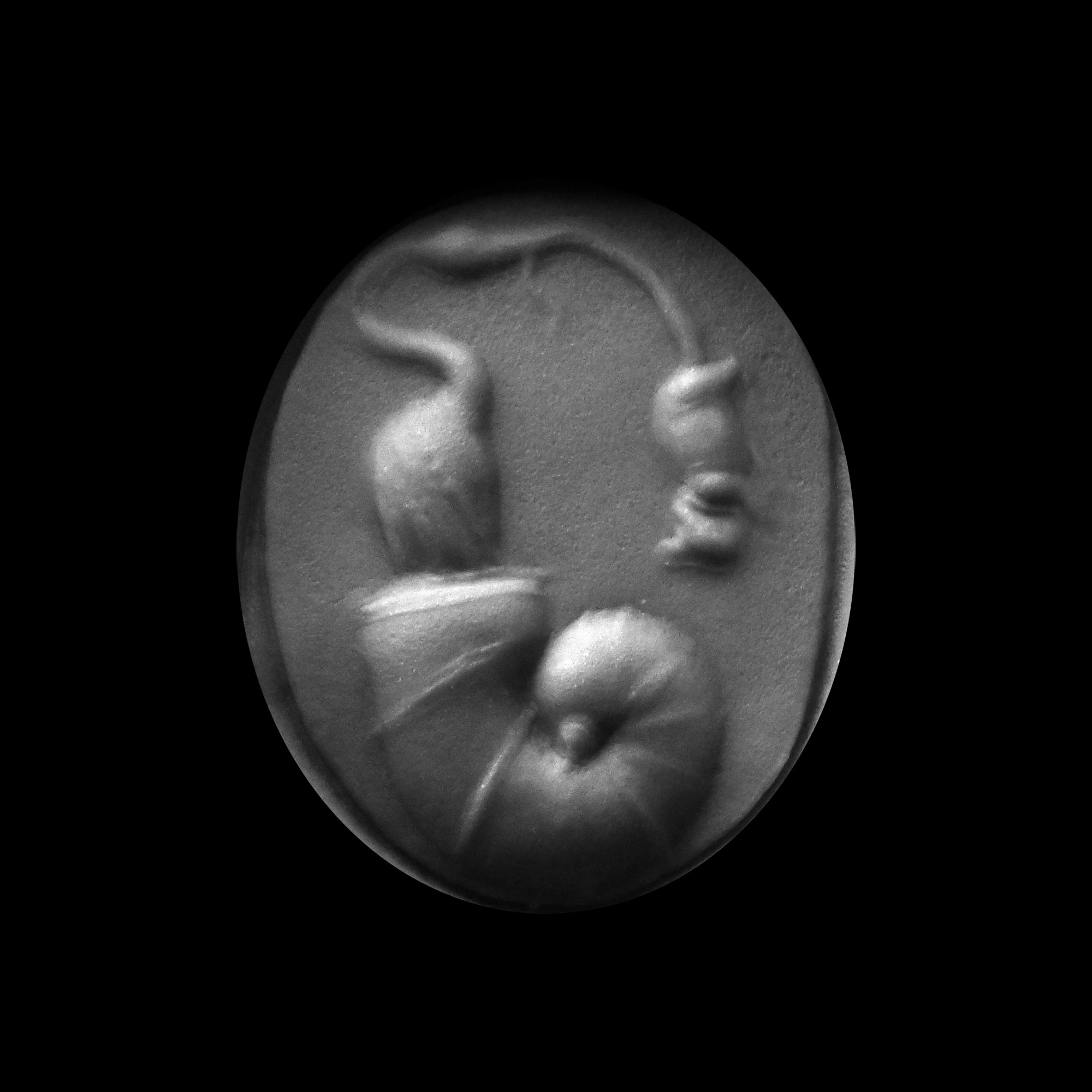 Roman Carnelian Gemstone with Stork Emerging from a Seashell in Gold Ring