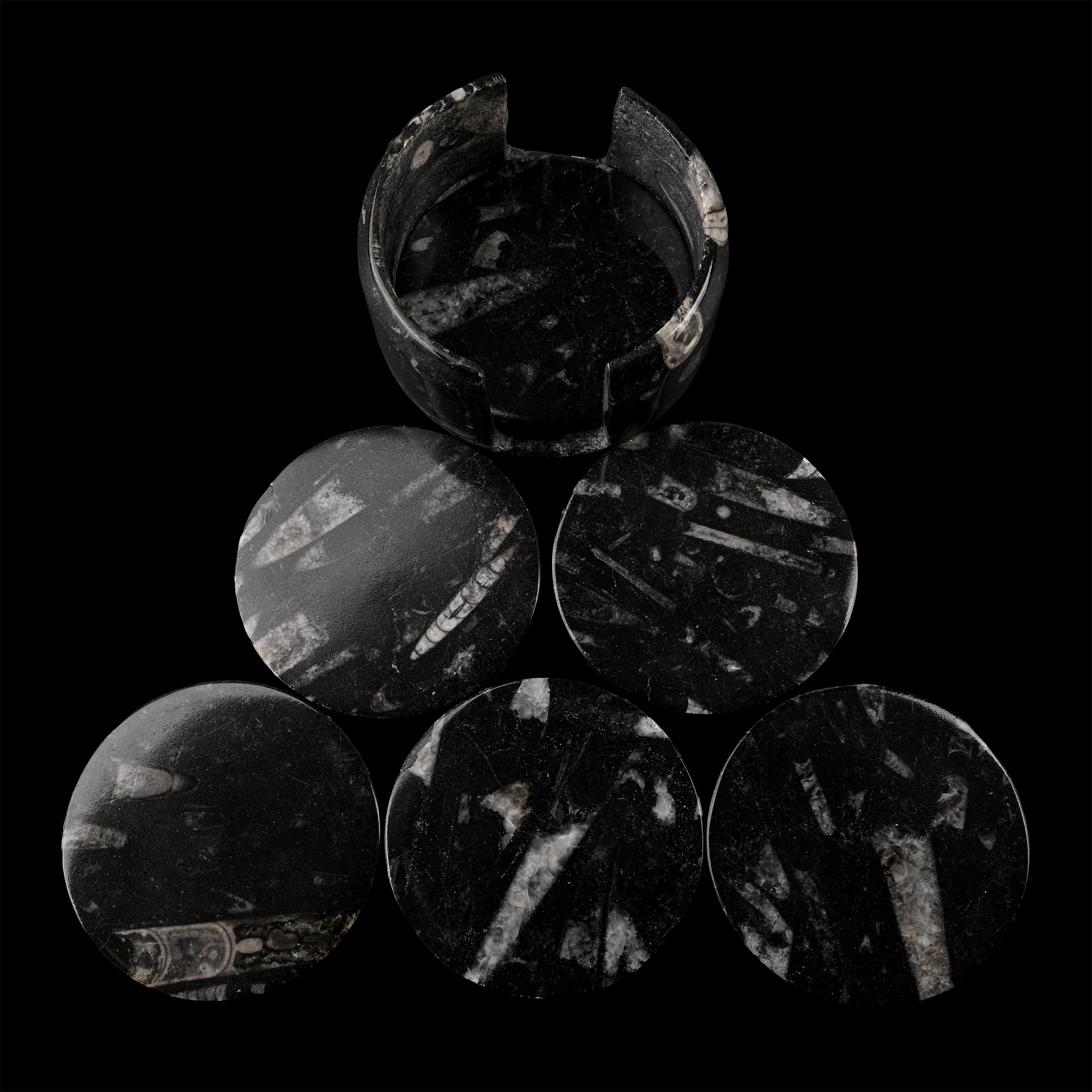 Polished Fossil Orthoceras Coaster Set