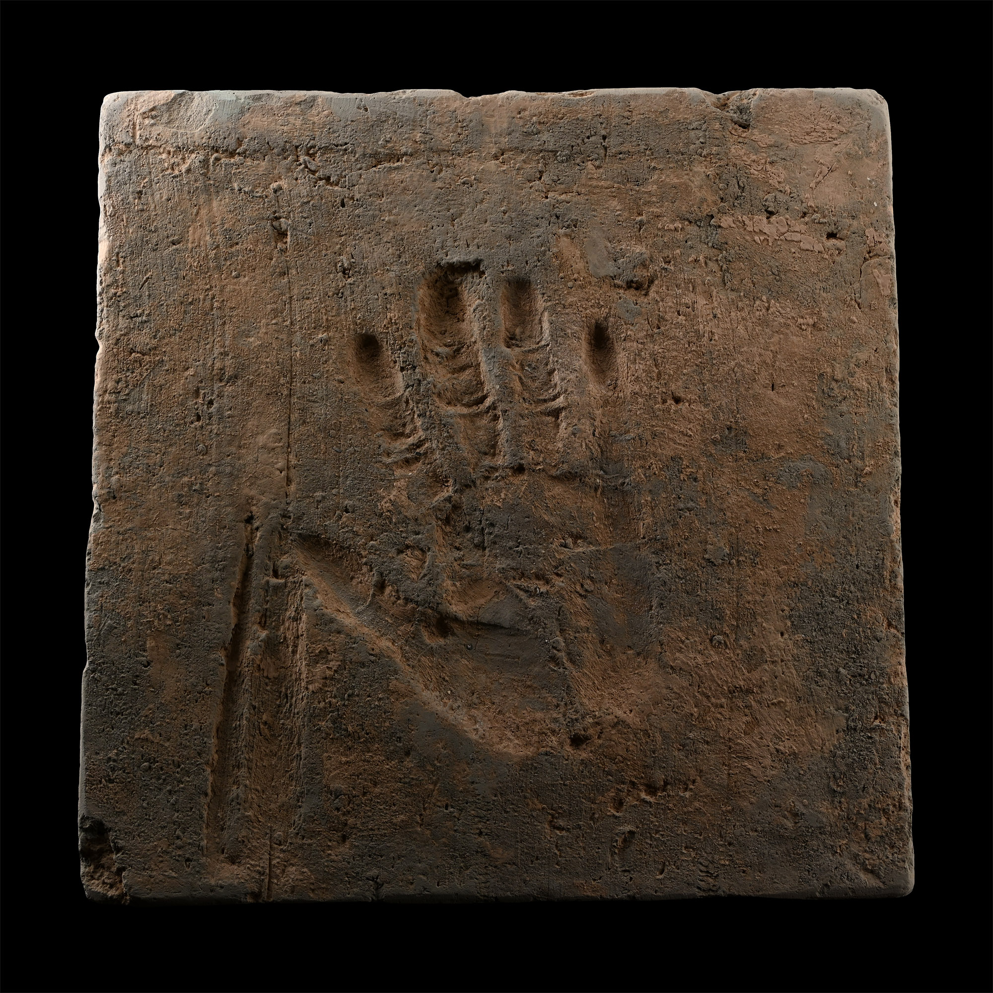 Chinese Song Terracotta Tile with a Sow