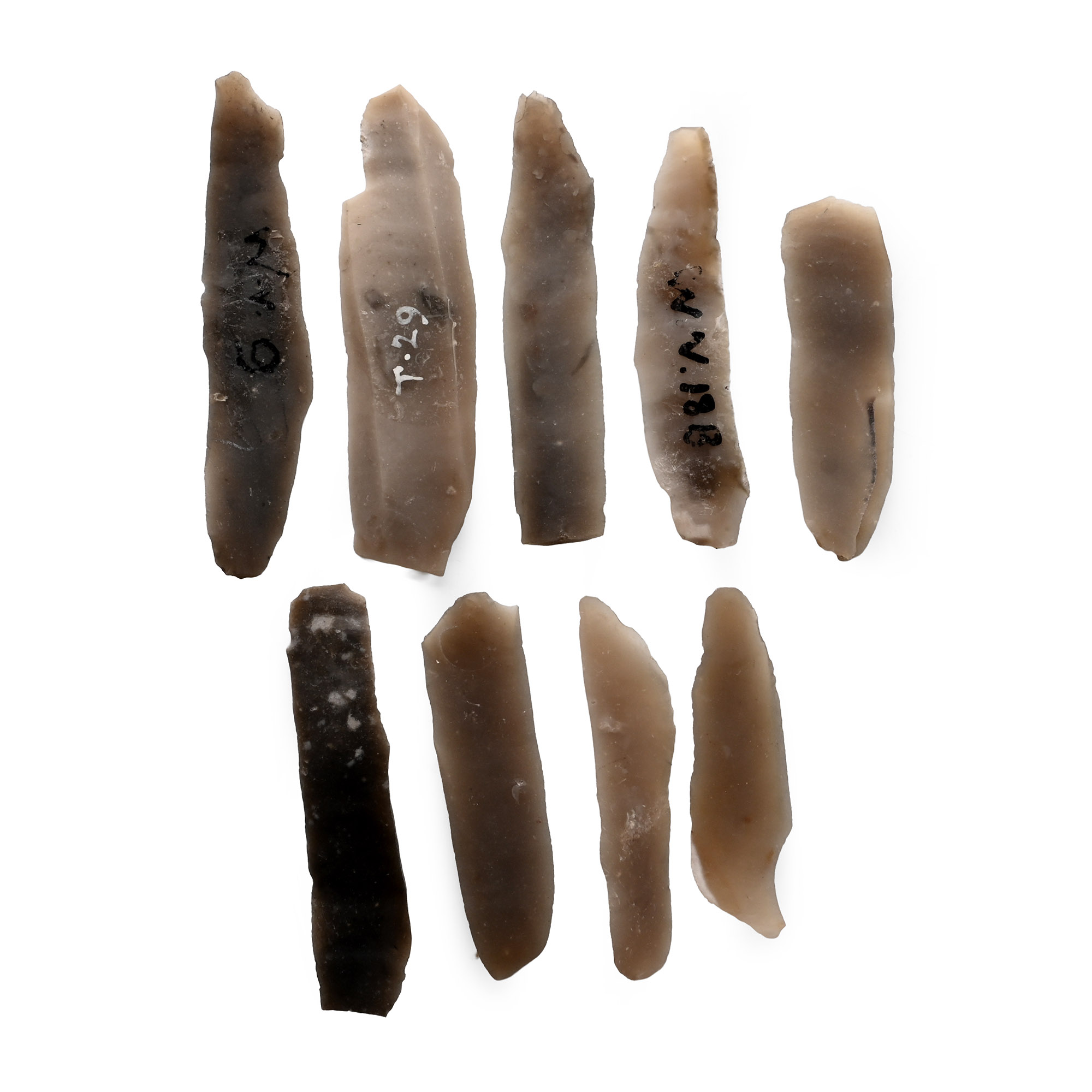 Farnham Stone Age Flint Blade Collection