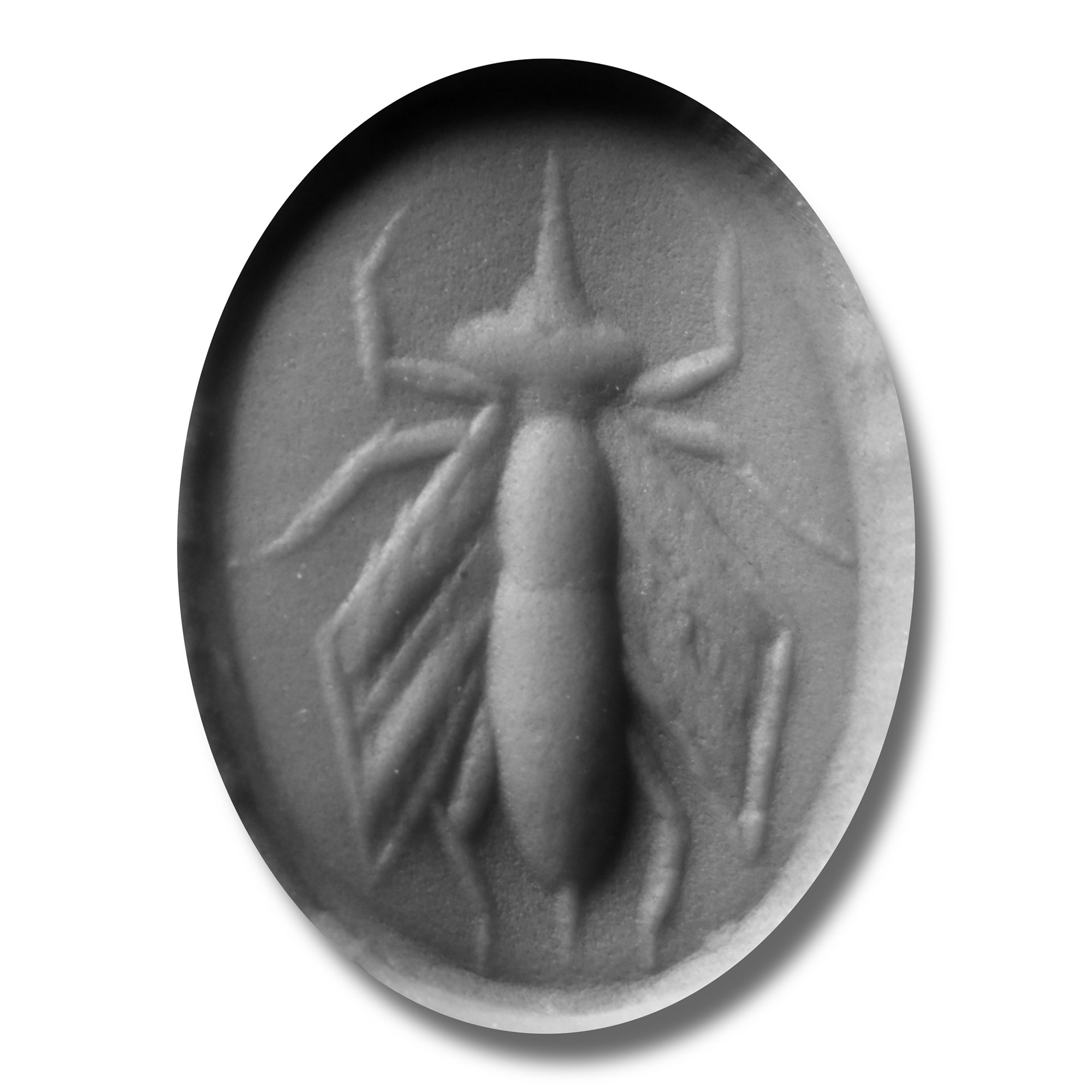 Roman Carnelian Gemstone with Insect