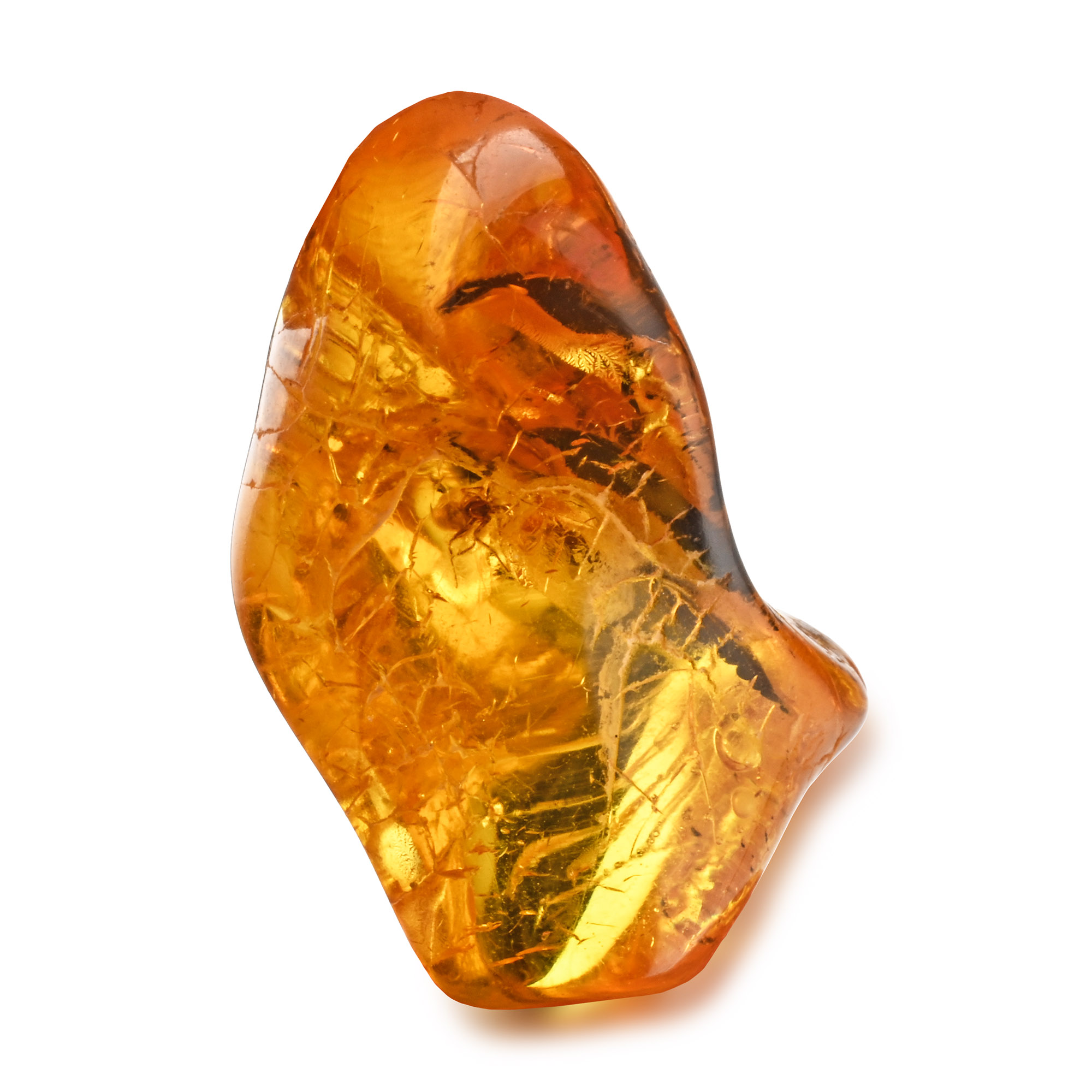 Polished Baltic Amber with Spider