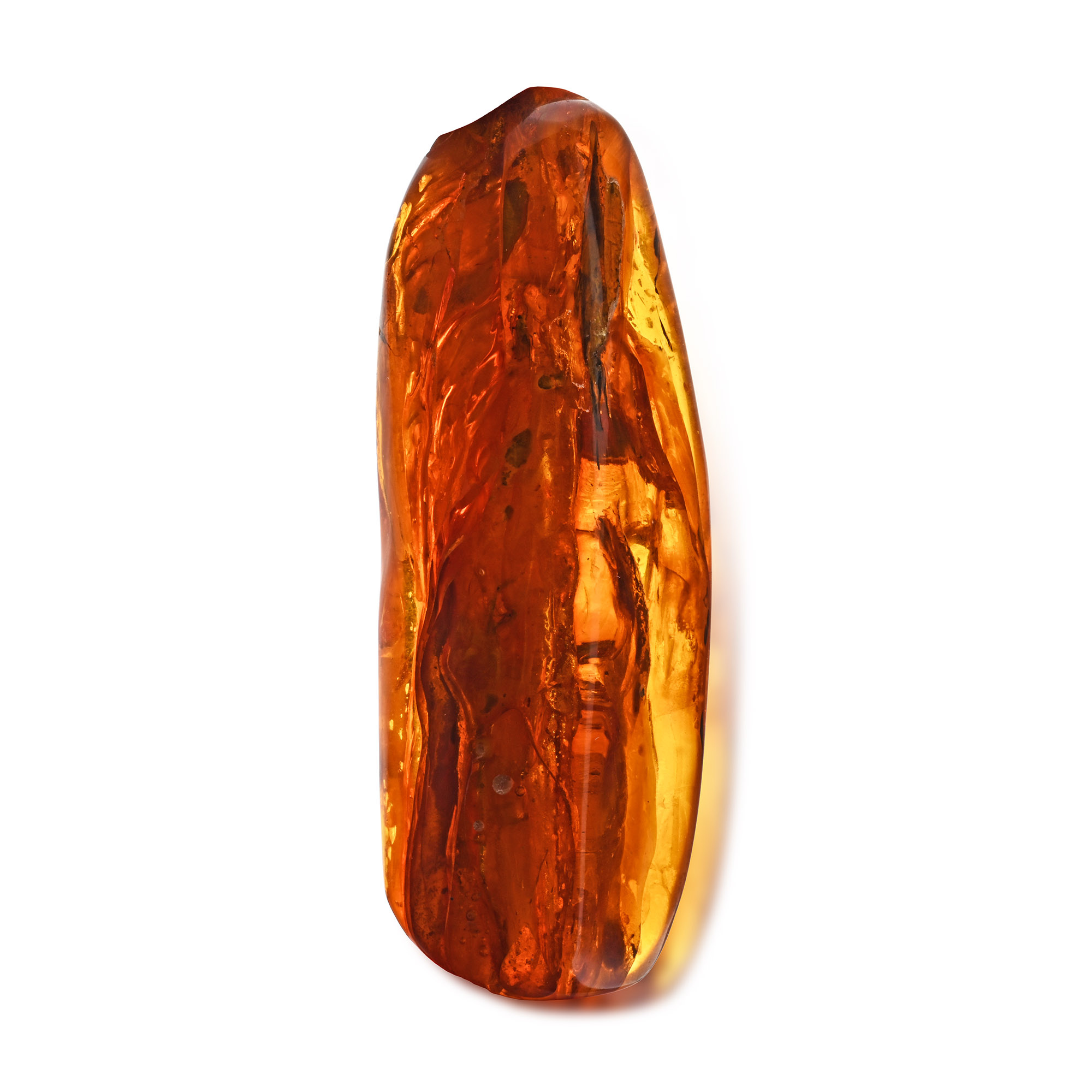 Polished Baltic Amber with Large Fly and Other Inclusions