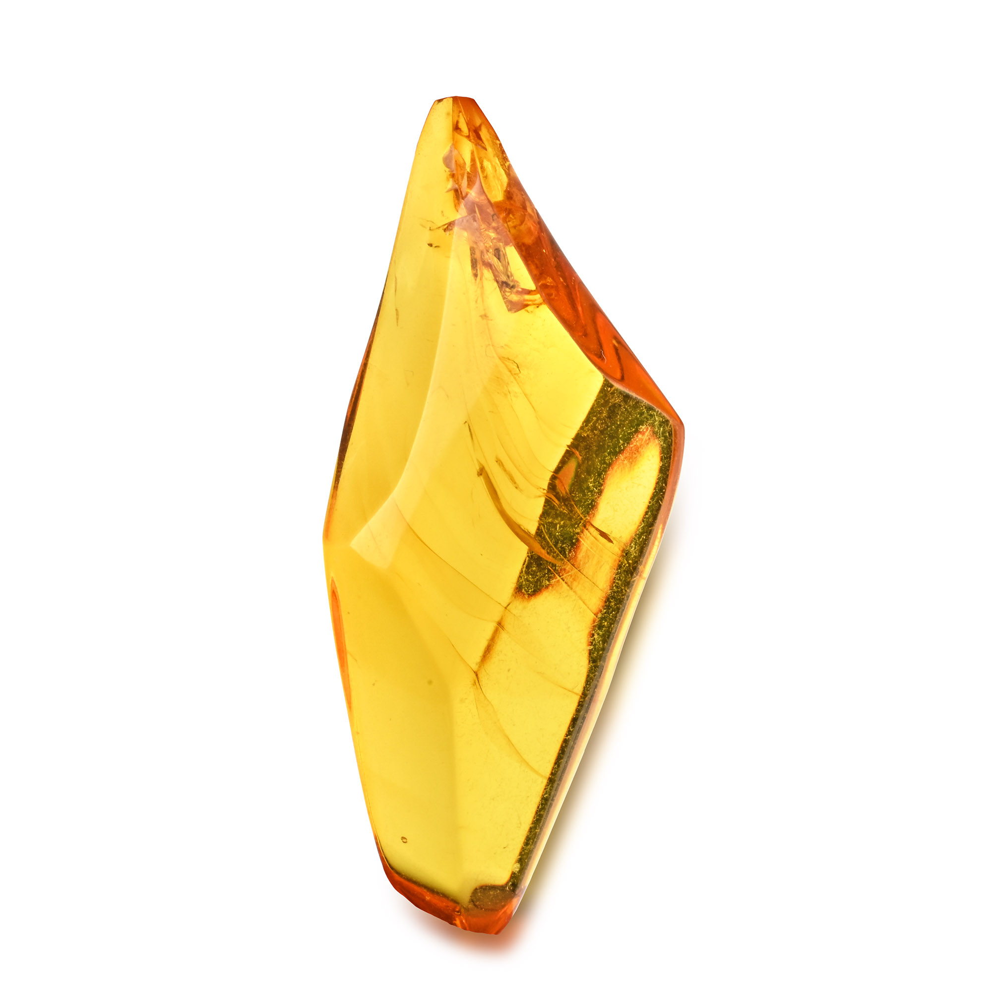 Polished Baltic Amber with Insect