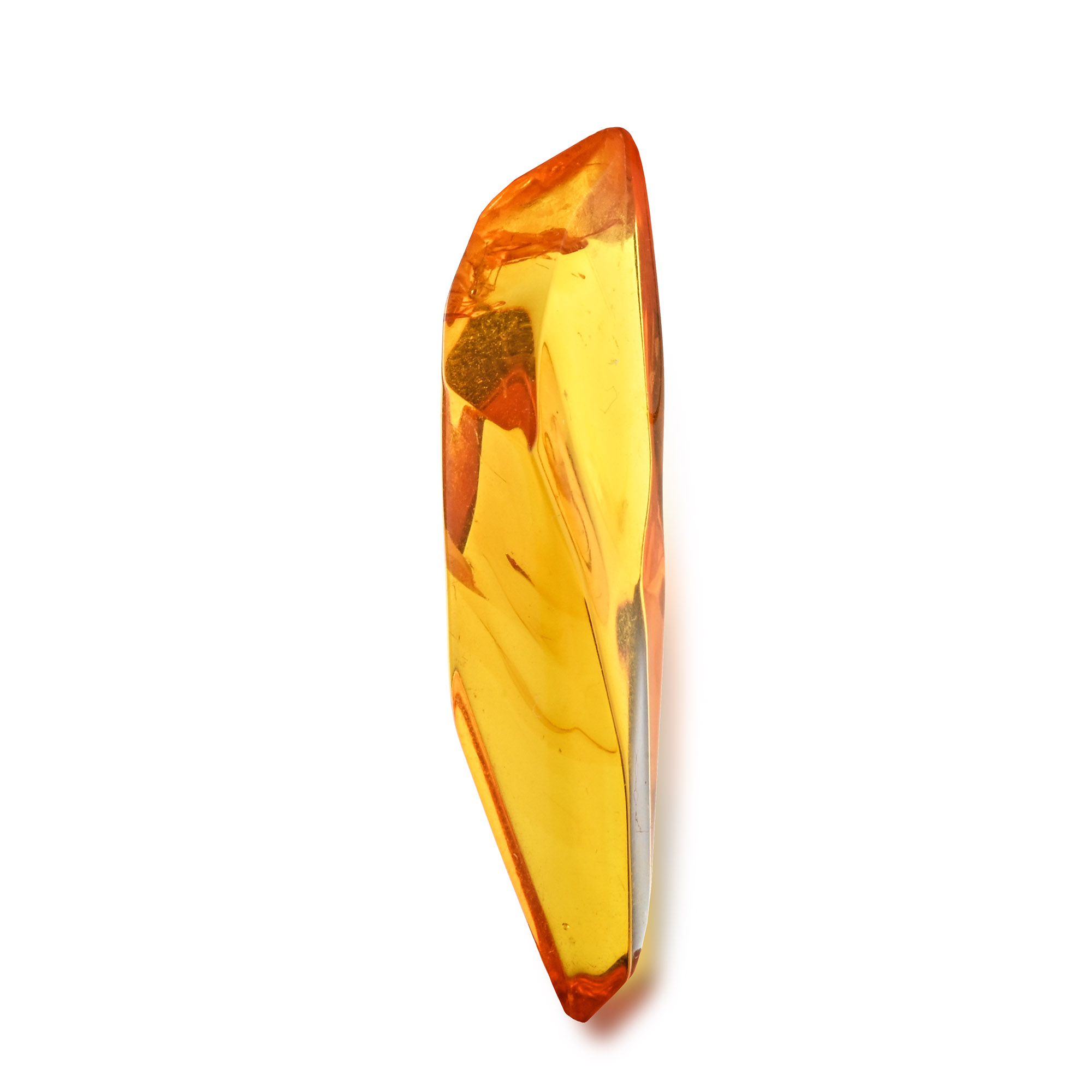 Polished Baltic Amber with Insect