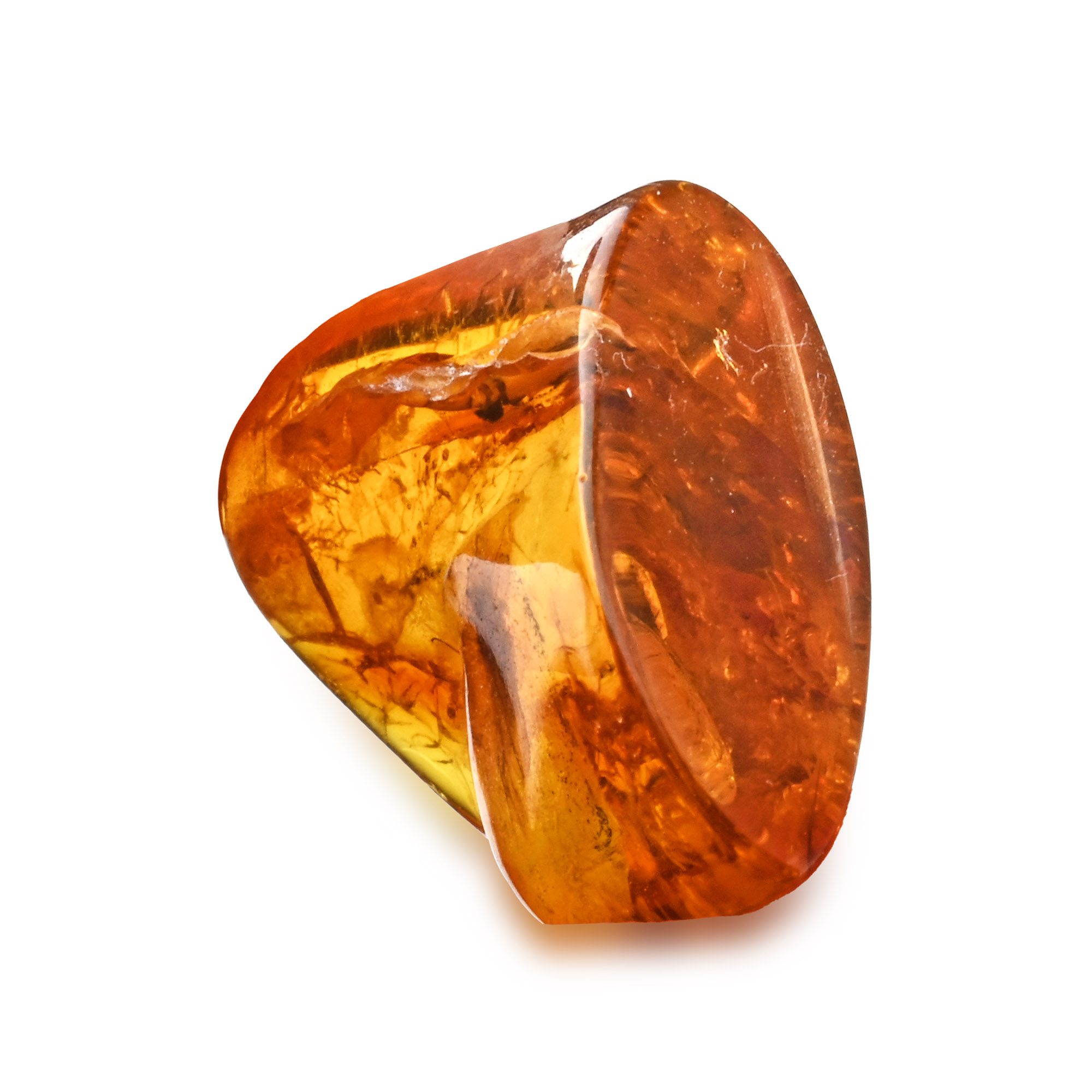 Polished Baltic Amber with Fly and Other Inclusions