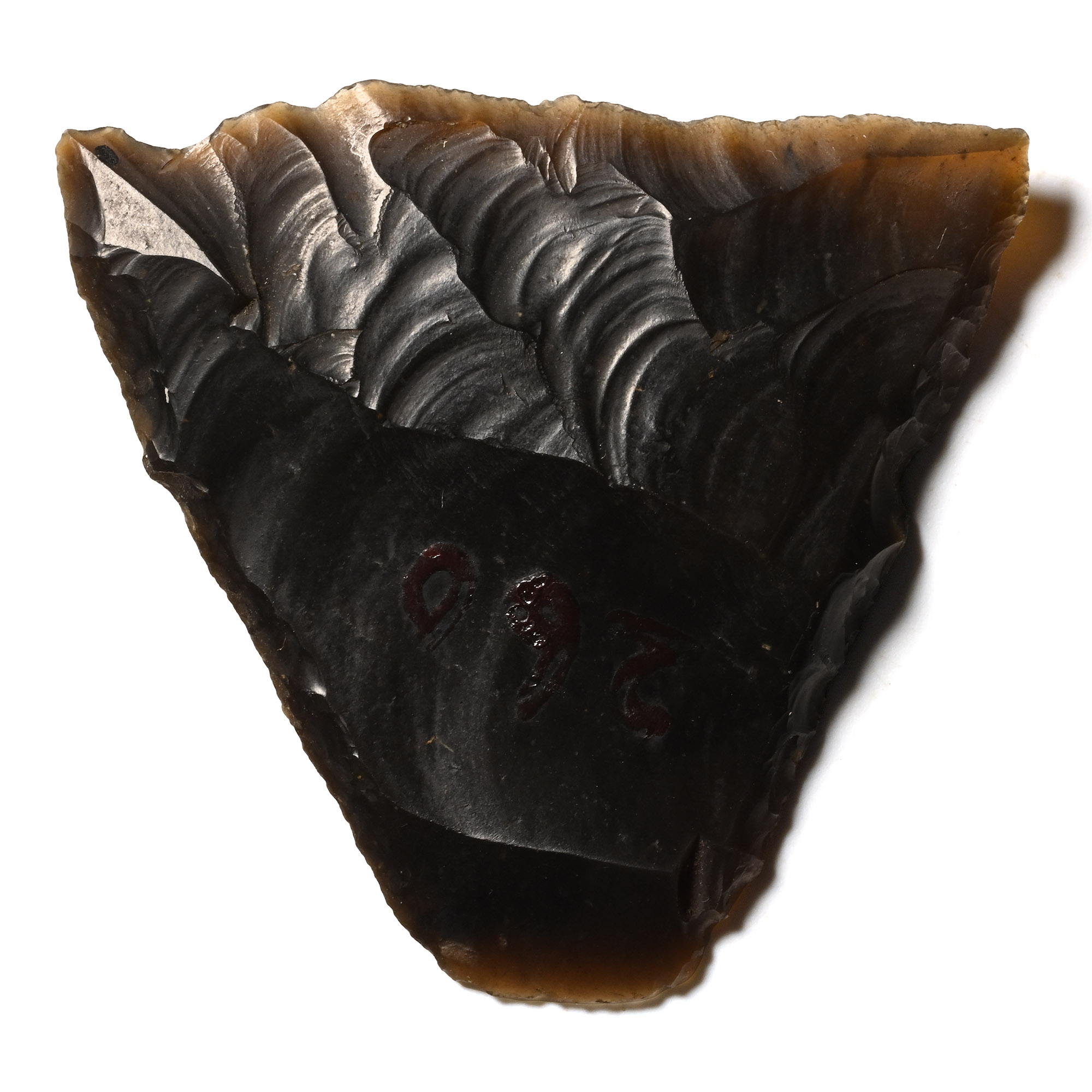 Farnham Stone Age Knapped Flint Tranchet Arrowhead
