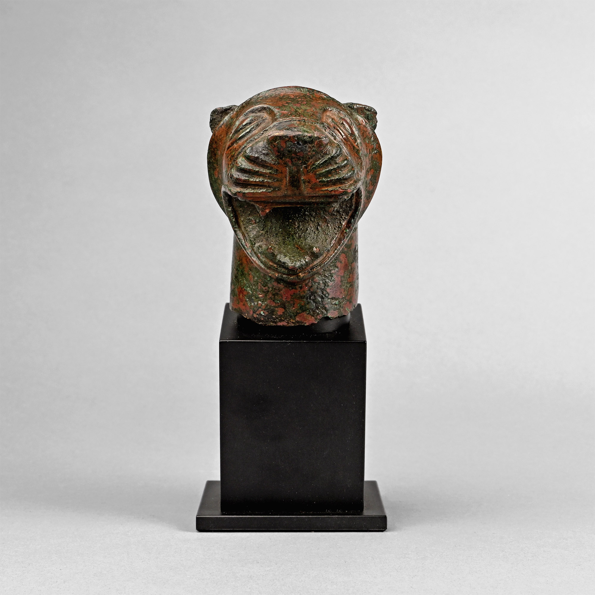 Etruscan Bronze Lion Head
