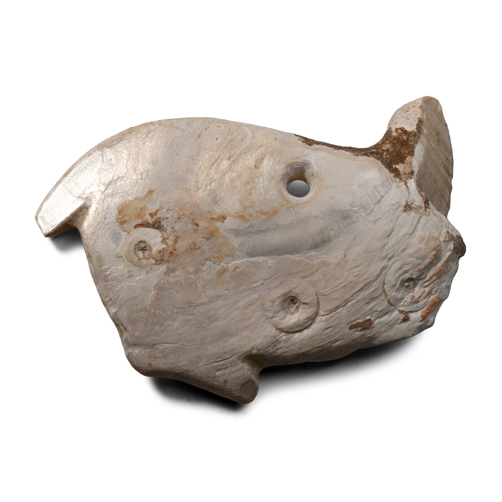 Sumerian Shell Amulet