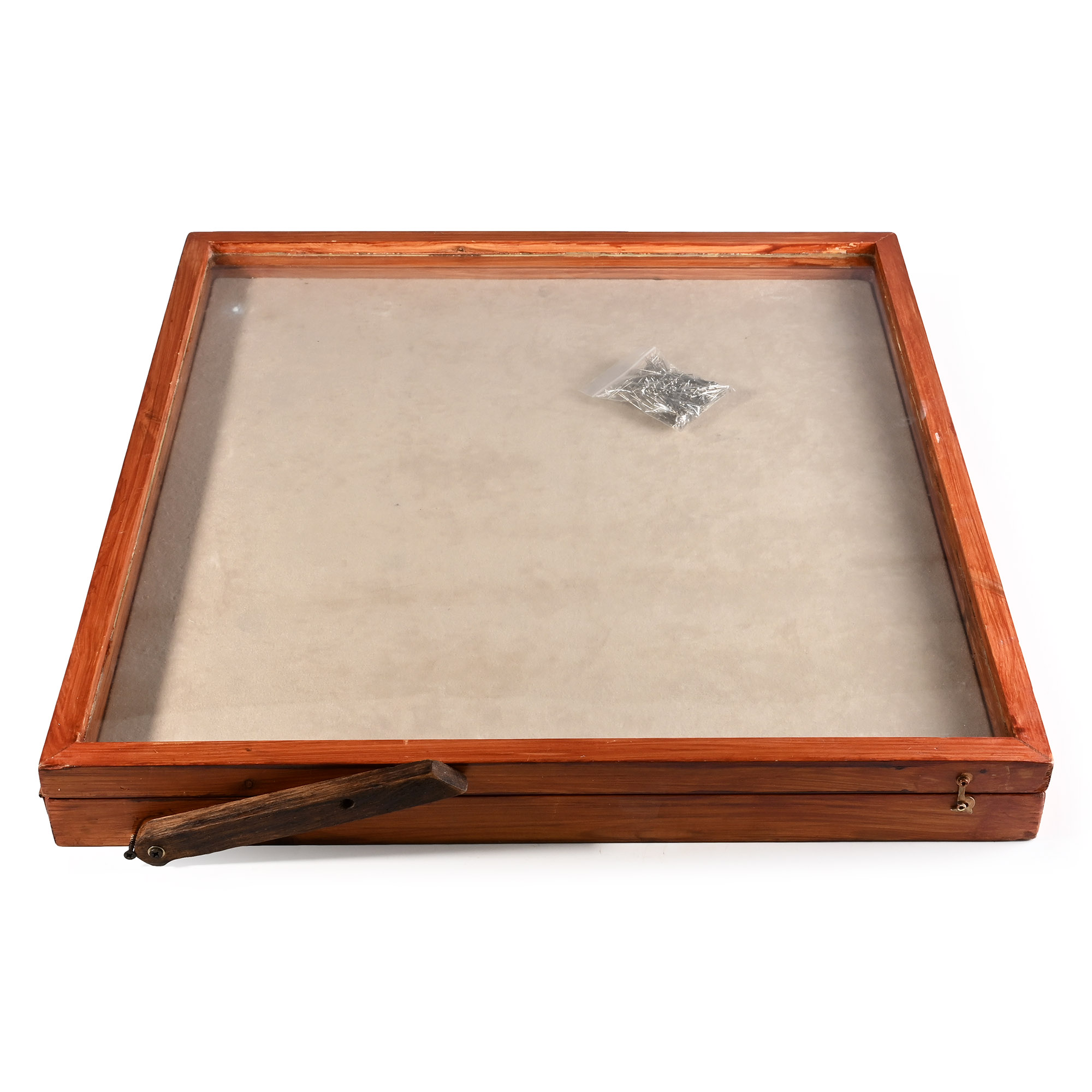 Large Pine Display Case
