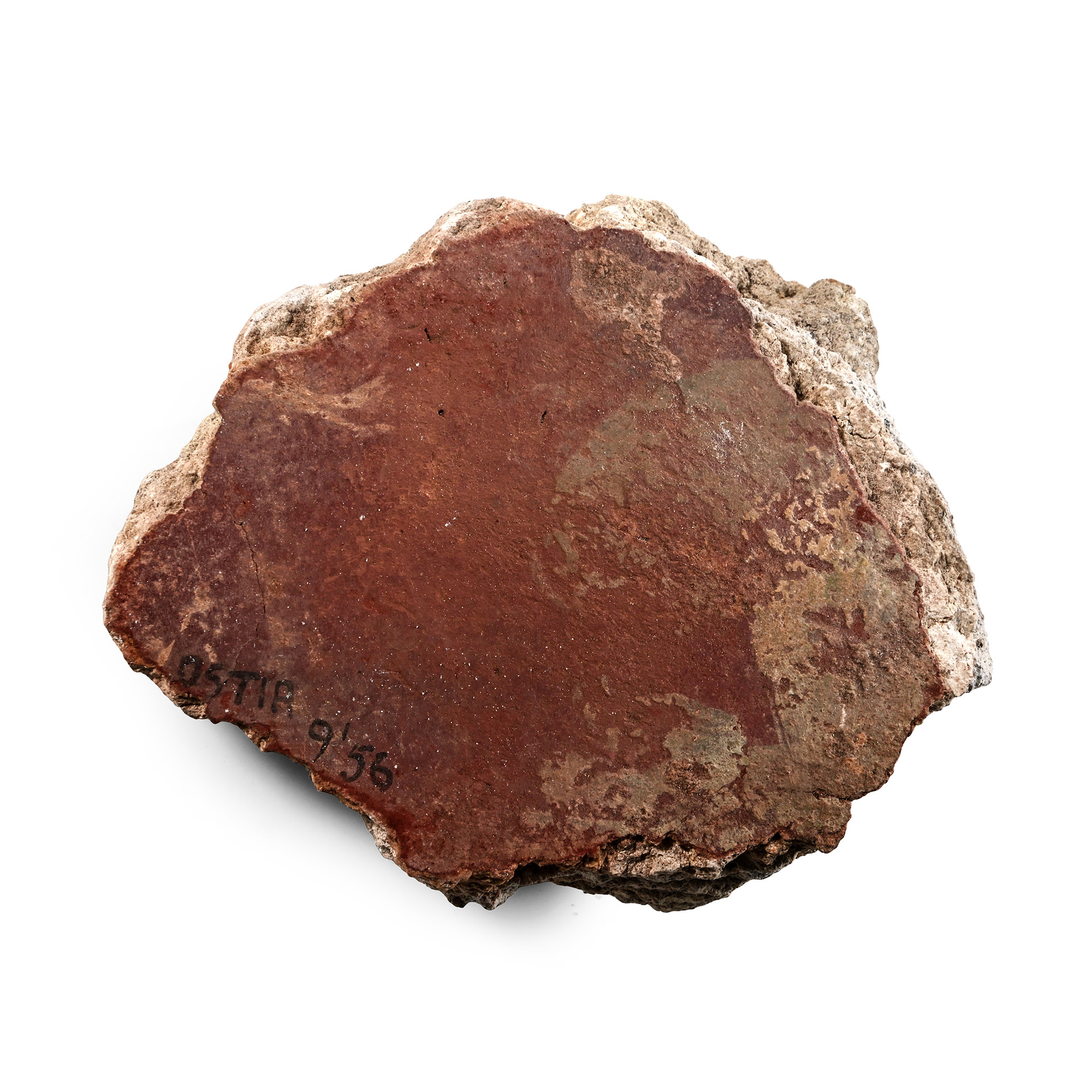 Roman Fresco Painted Wall Plaster Fragment