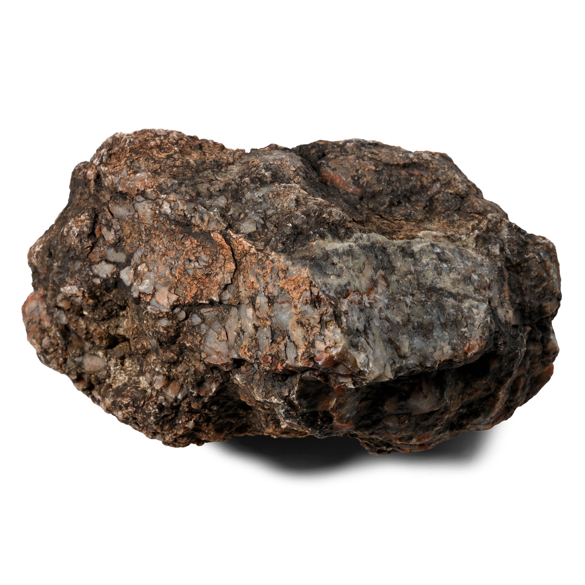 Sauropod Agatised Dinosaur Cuprolite