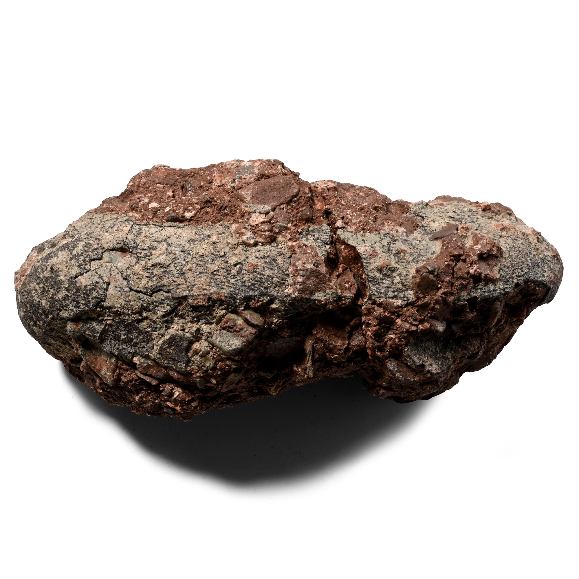 Oviraptor Fossil Dinosaur Egg