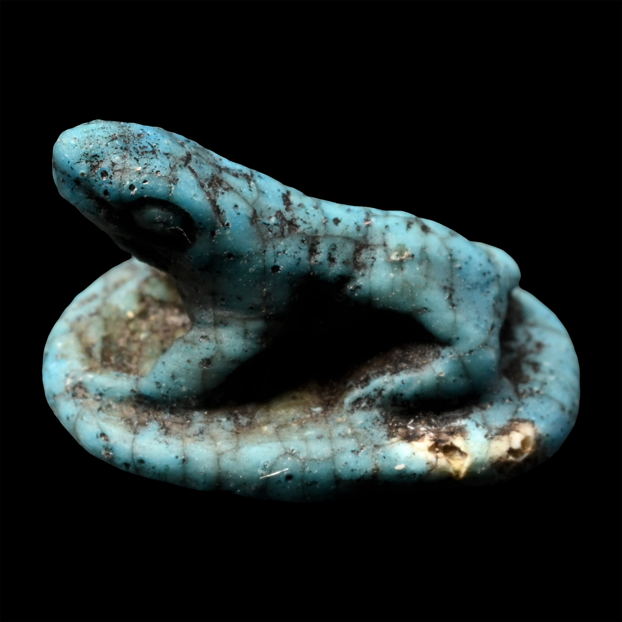 Egyptian Faience Scaraboid Frog Amulet with Ankh