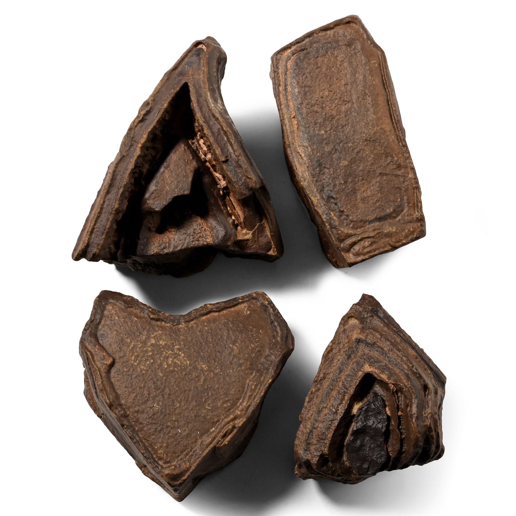 Fossilised Mineral Mud