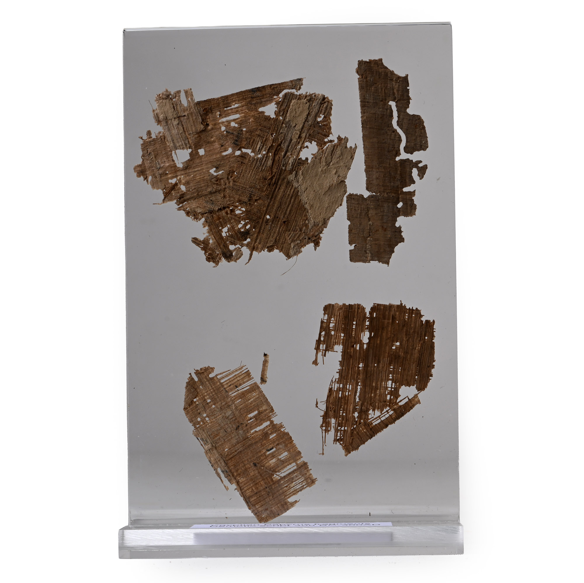 Egyptian Papyrus Fragments in Display Stand