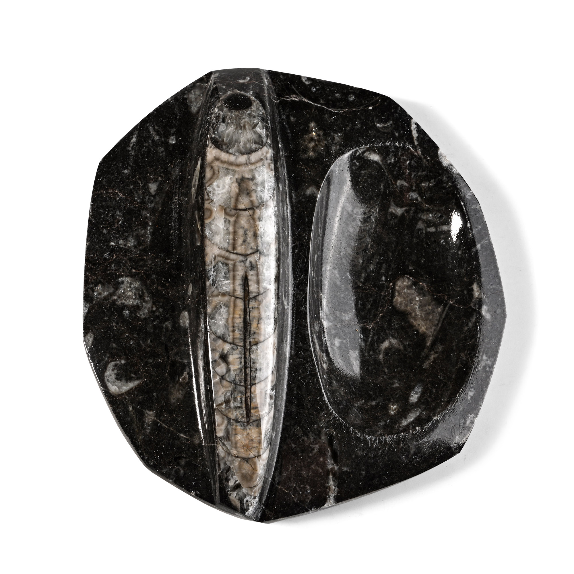 Fossil Orthoceras Polished Trinket Dish