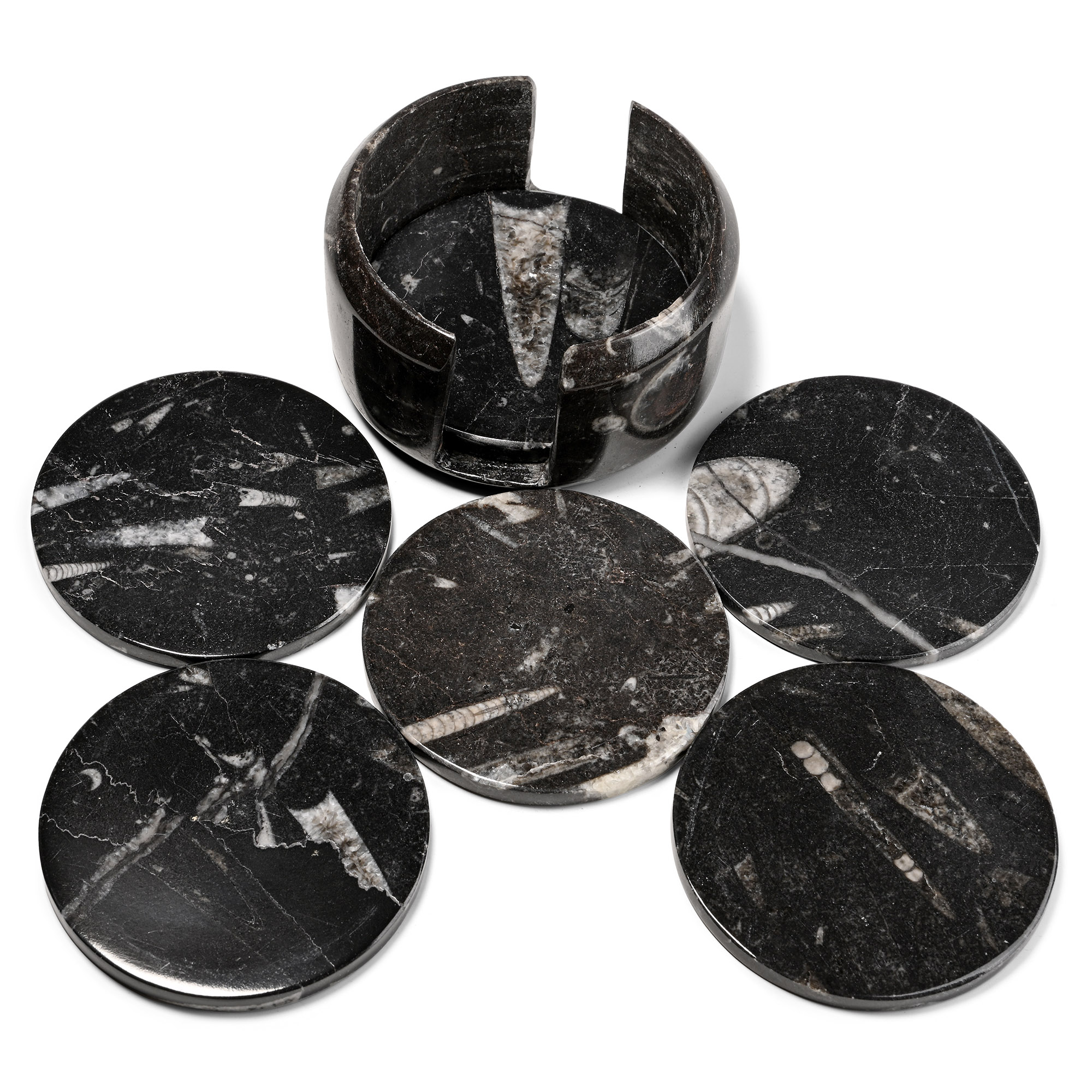 Fossil Orthoceras Polished Coaster Set