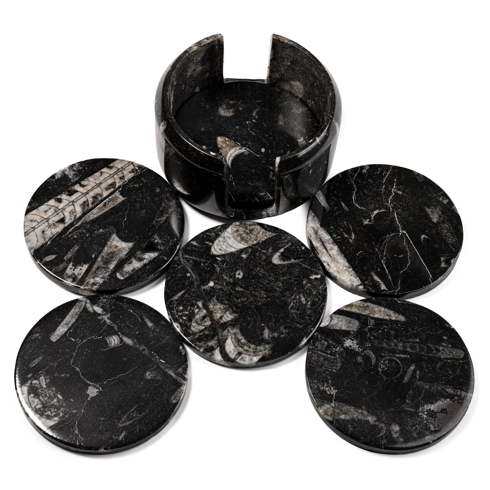 Polished Fossil Orthoceras Set of Coasters