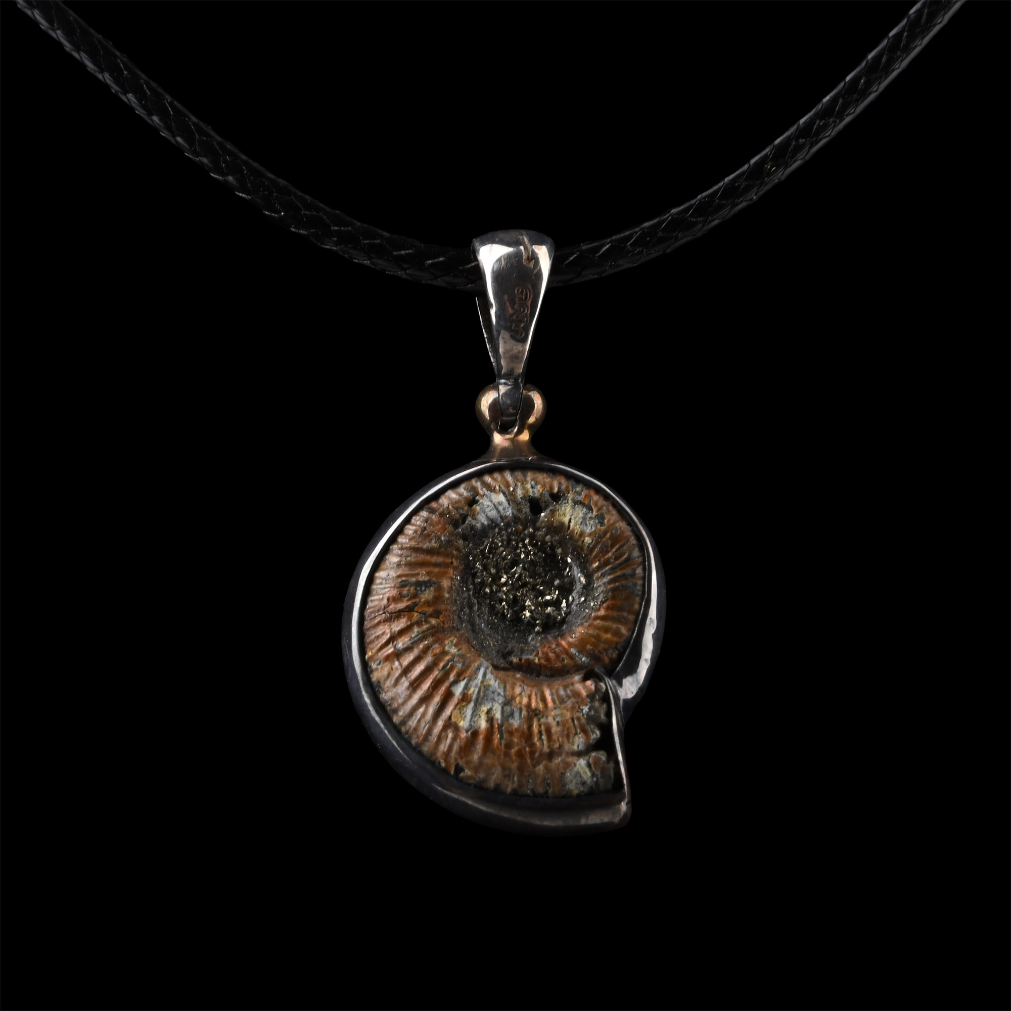Fossil Ammonite Pendant Necklace