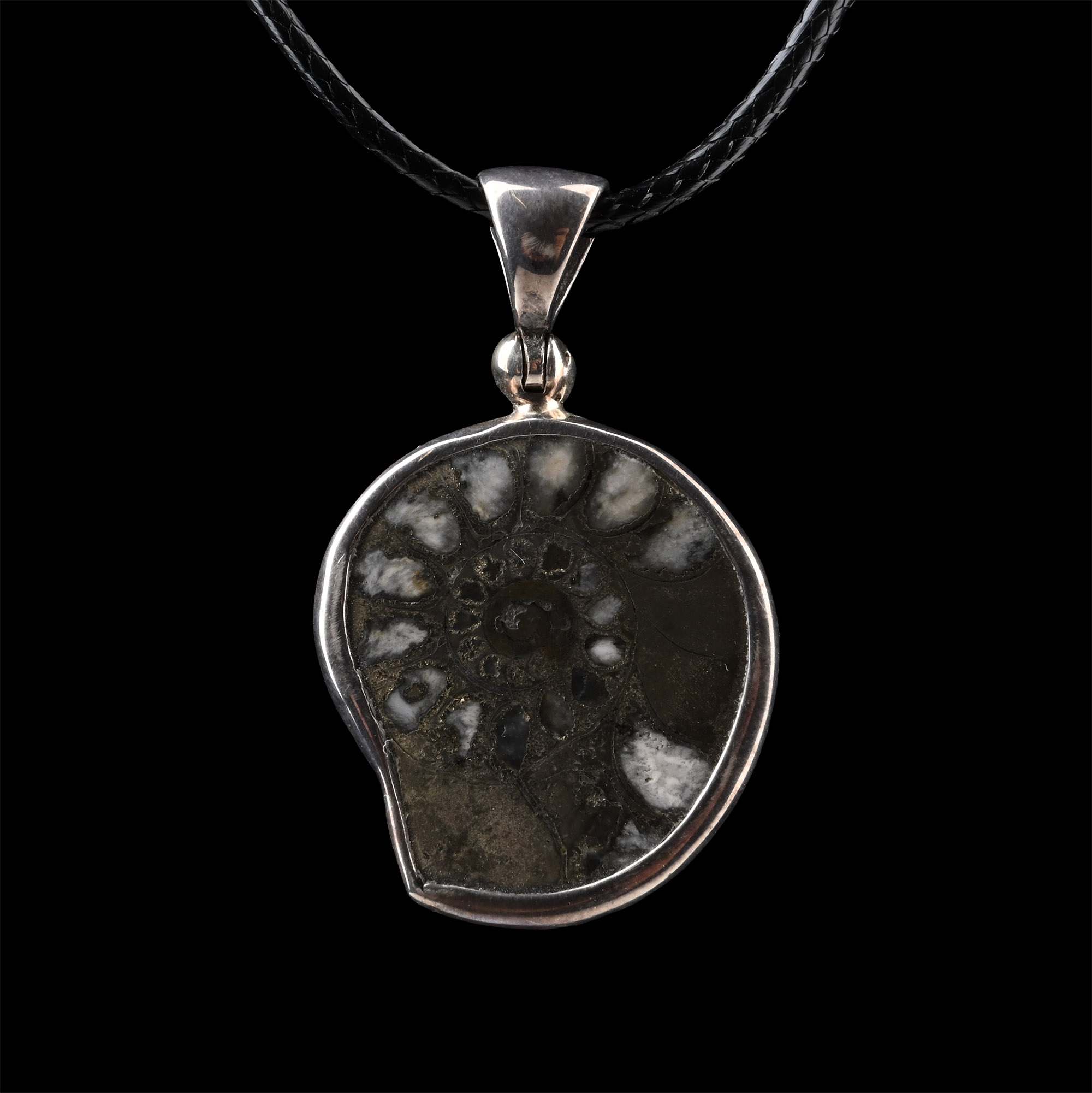 Fossil Ammonite Pendant Necklace