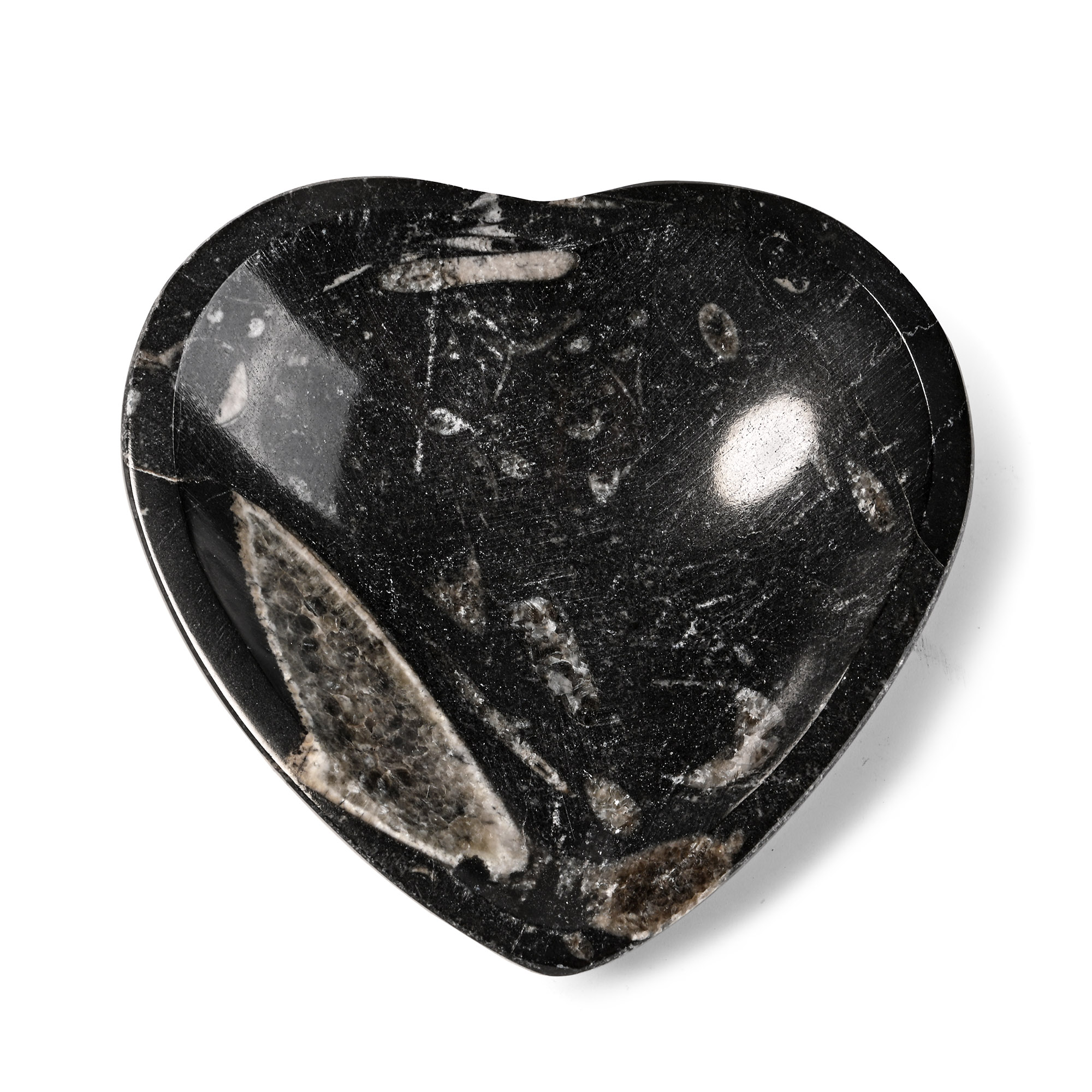 Fossil Orthoceras Polished Heart-Shaped Dish