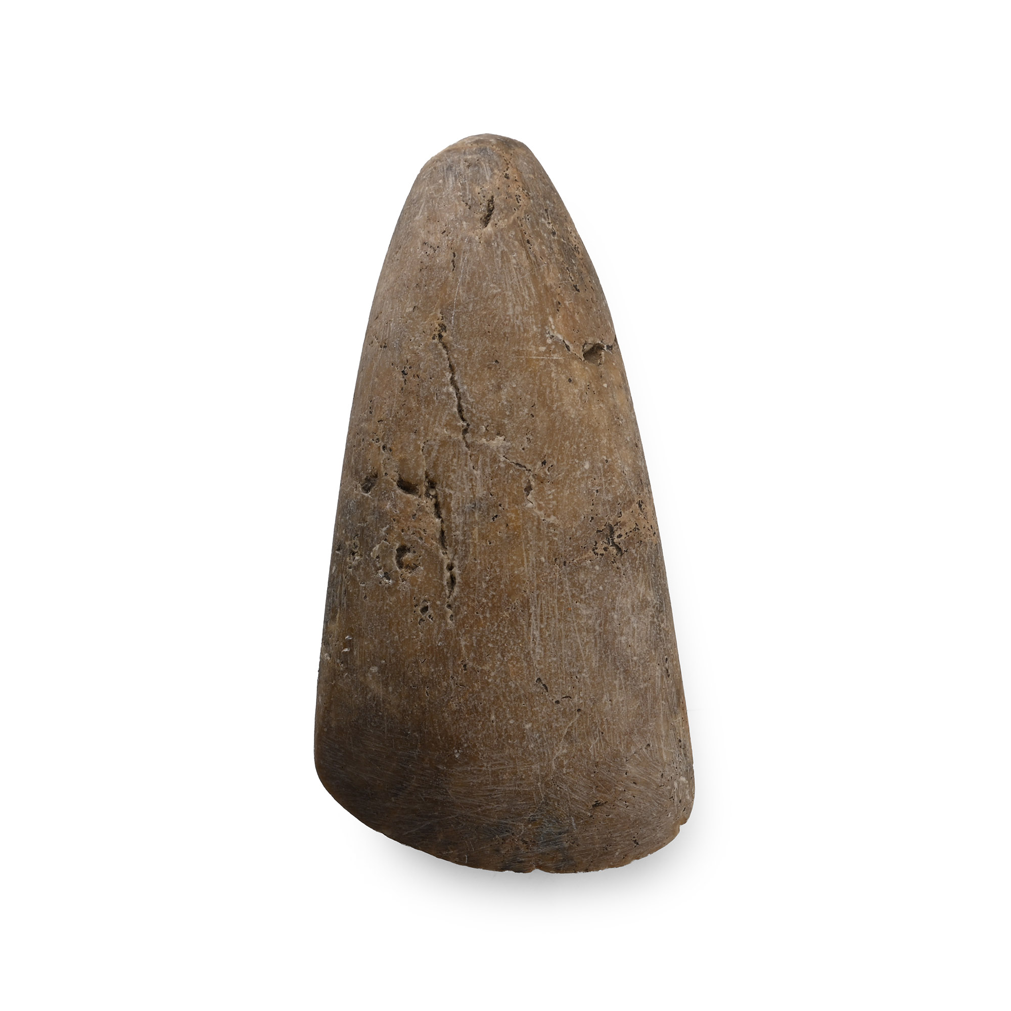 El Golea Algeria Stone Age Polished Axehead