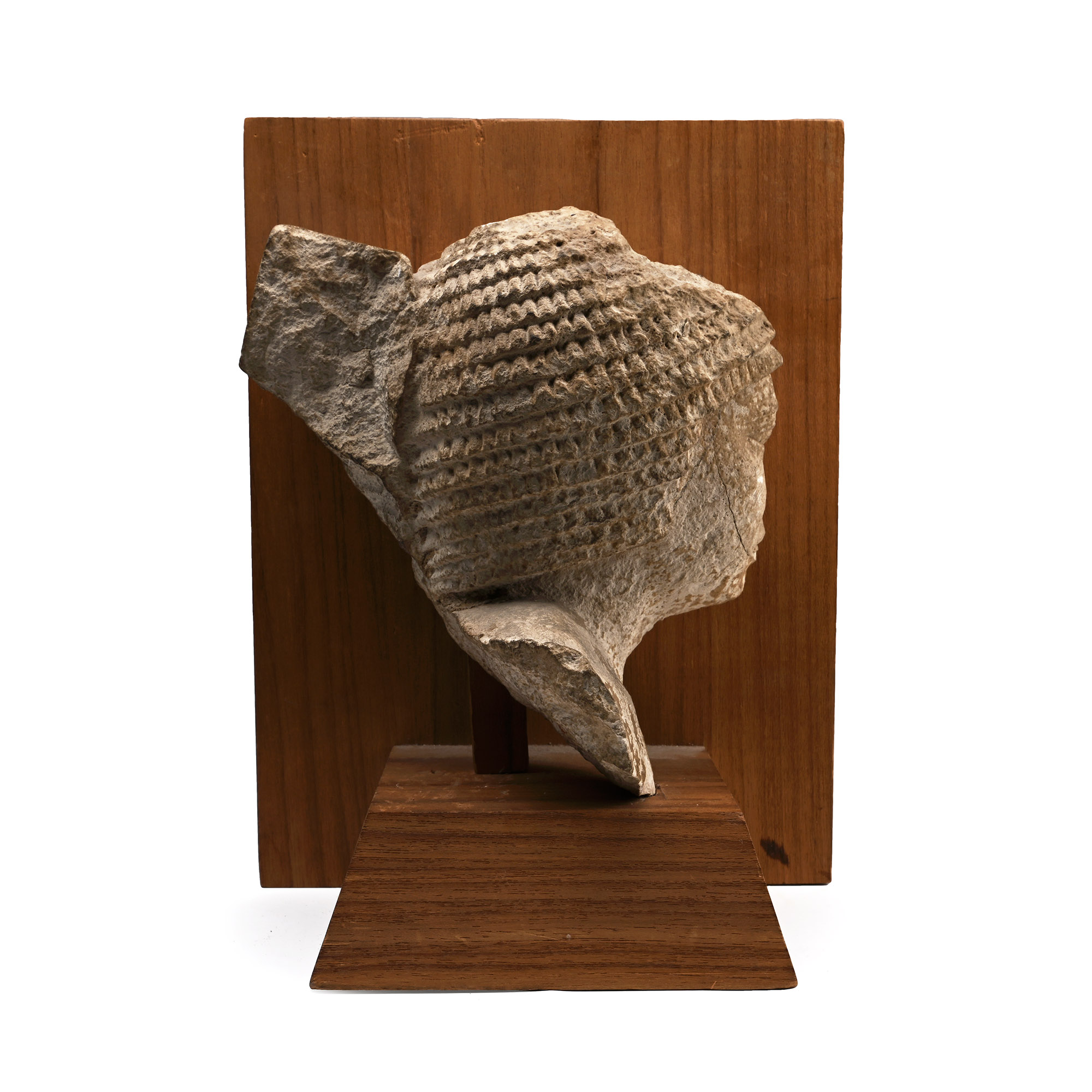 Egyptian Limestone Head of a Noble Wearing a Curled Wig