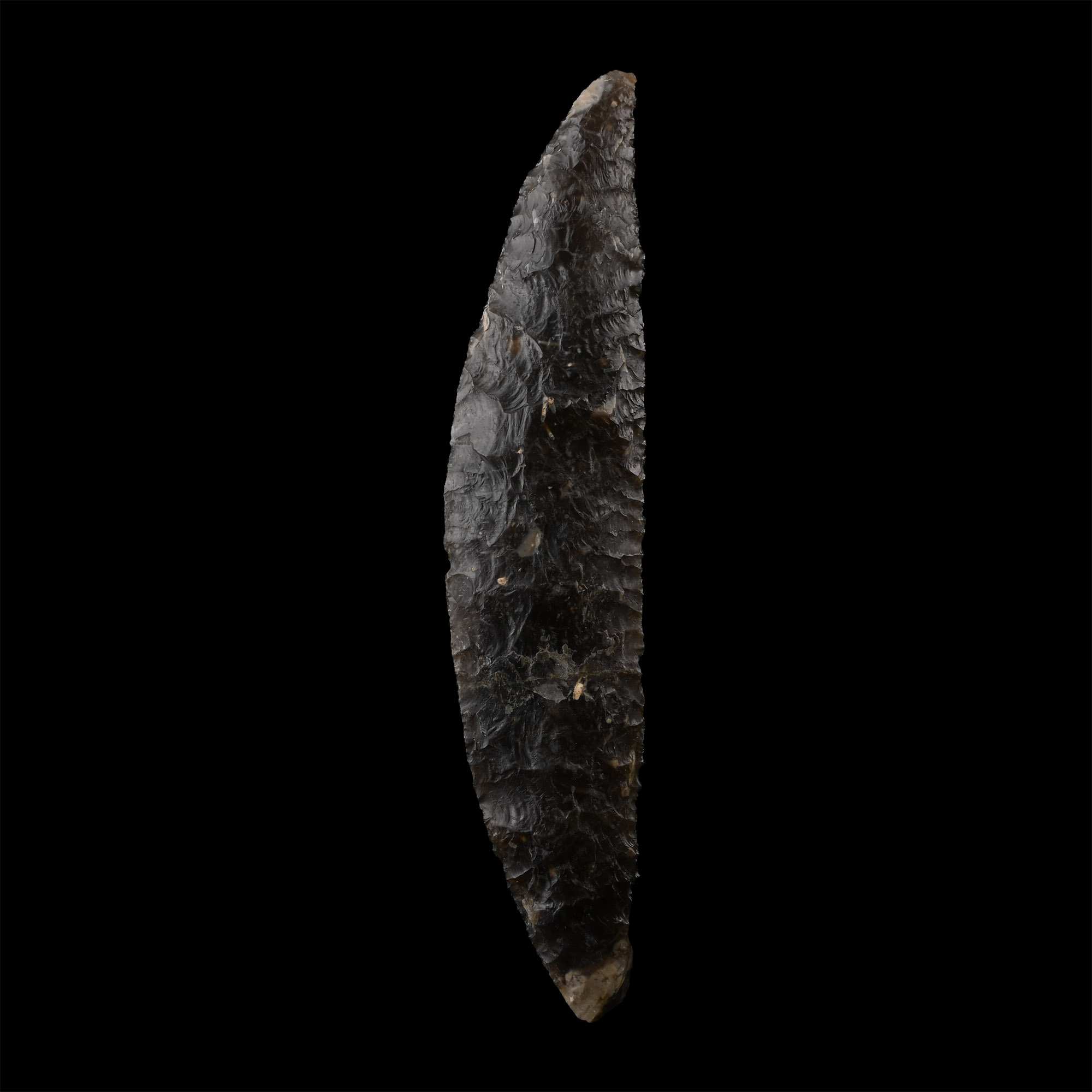 Very Large Danish Stone Age Knapped Senonian Flint Sickle
