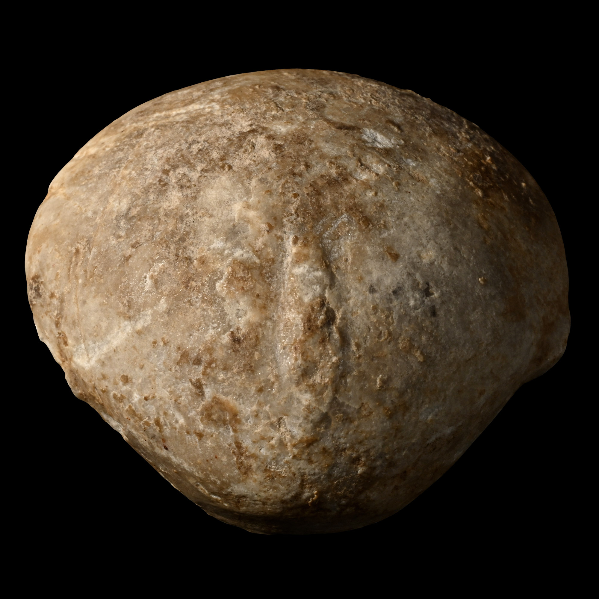 Anatolian 'Stargazer' Idol Head