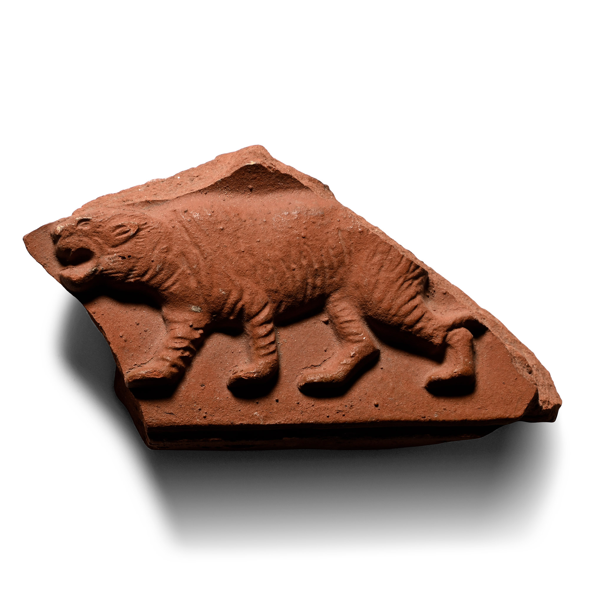Roman Terracotta Sigillata Fragment with Tiger