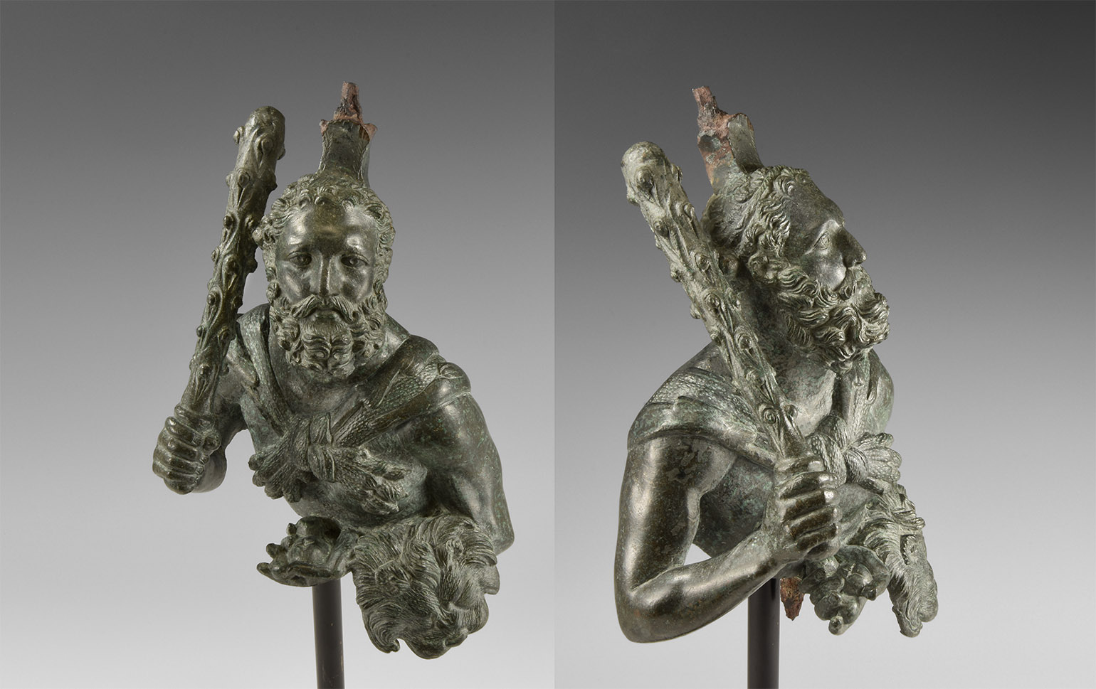 Roman Bust of Hercules Holding Apples of Hesperides