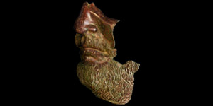 Roman Lifesize Statue Fragment