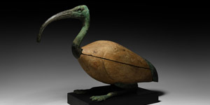 Large Egyptian Resting Sacred Ibis